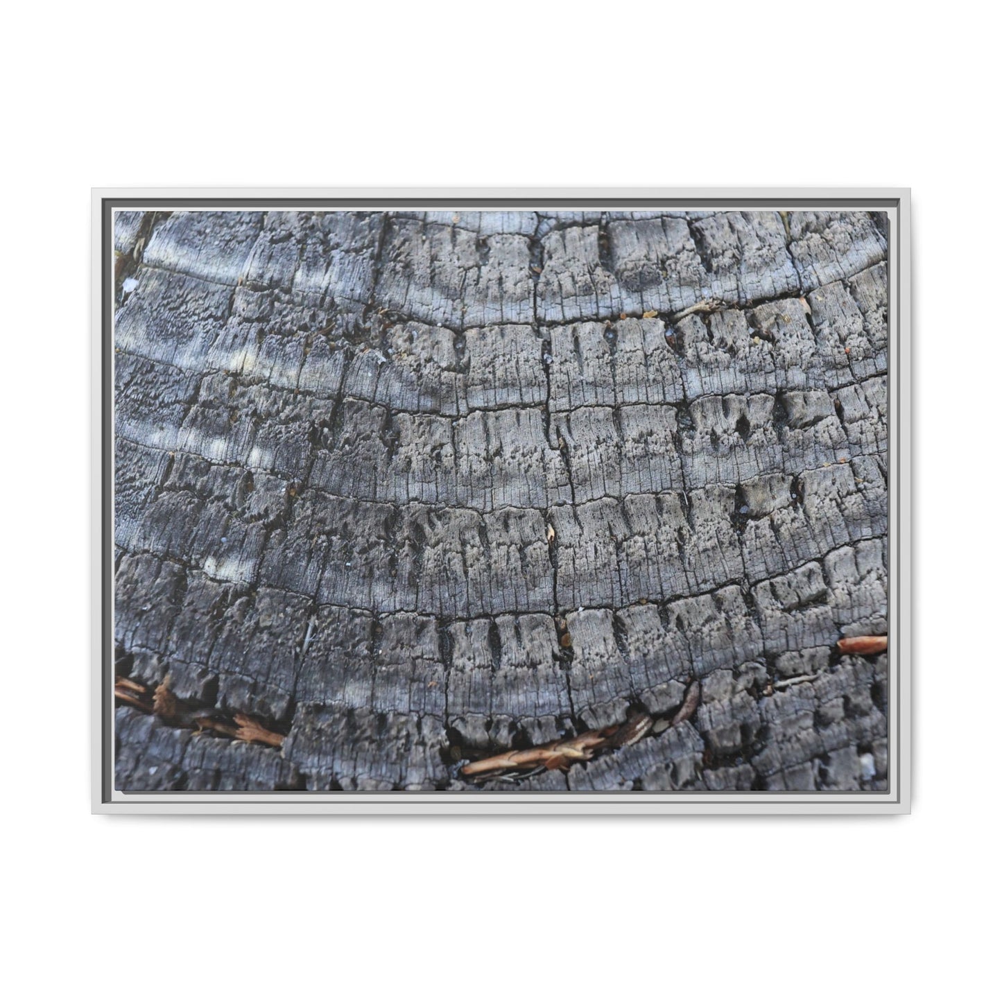 Charred Memories - Unique Stretched Canvas Wall Art