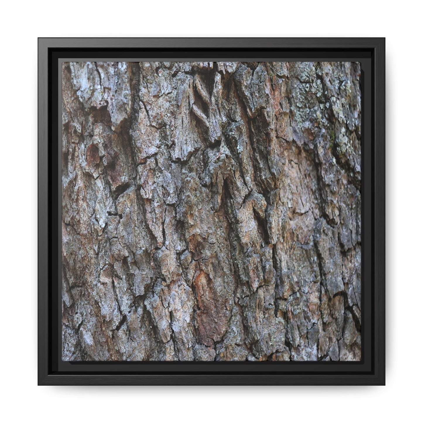 Woodland Skin - Unique Stretched Canvas Wall Art
