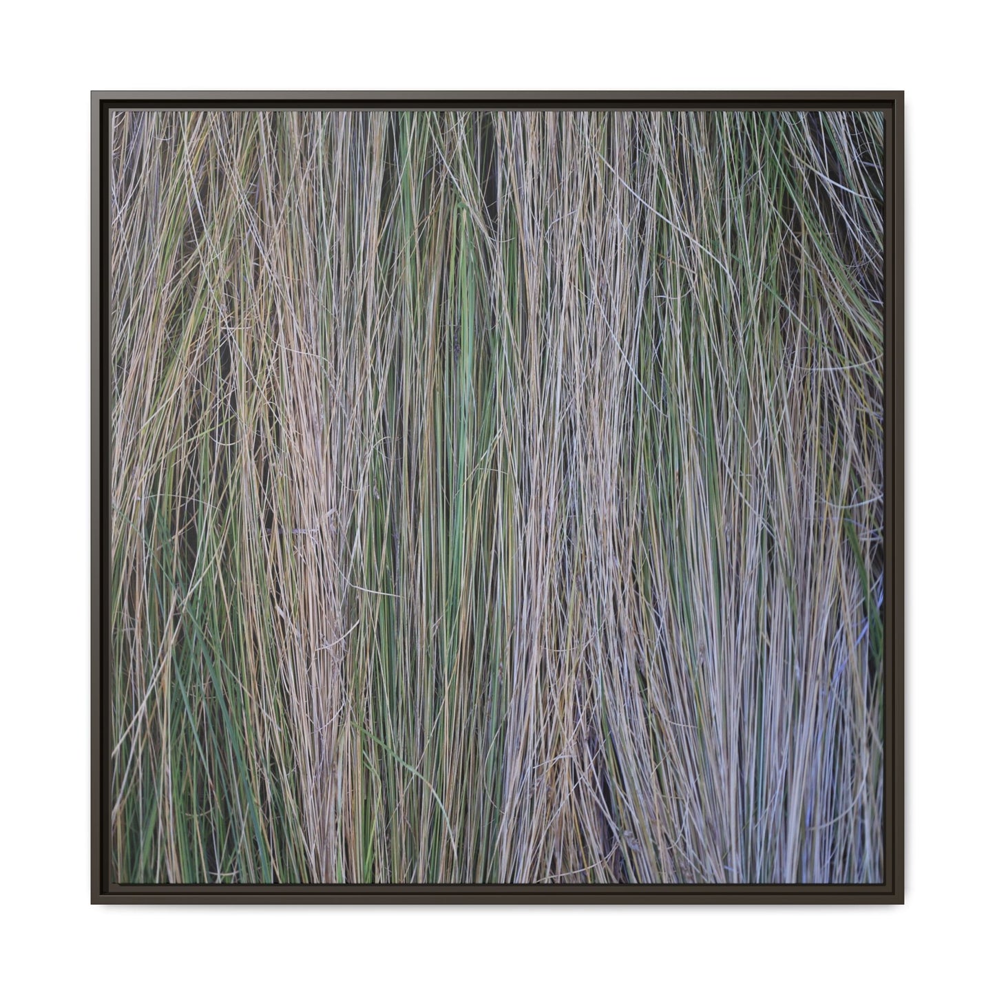 Whispers of Silver Grass - Unique Stretched Canvas Wall Art