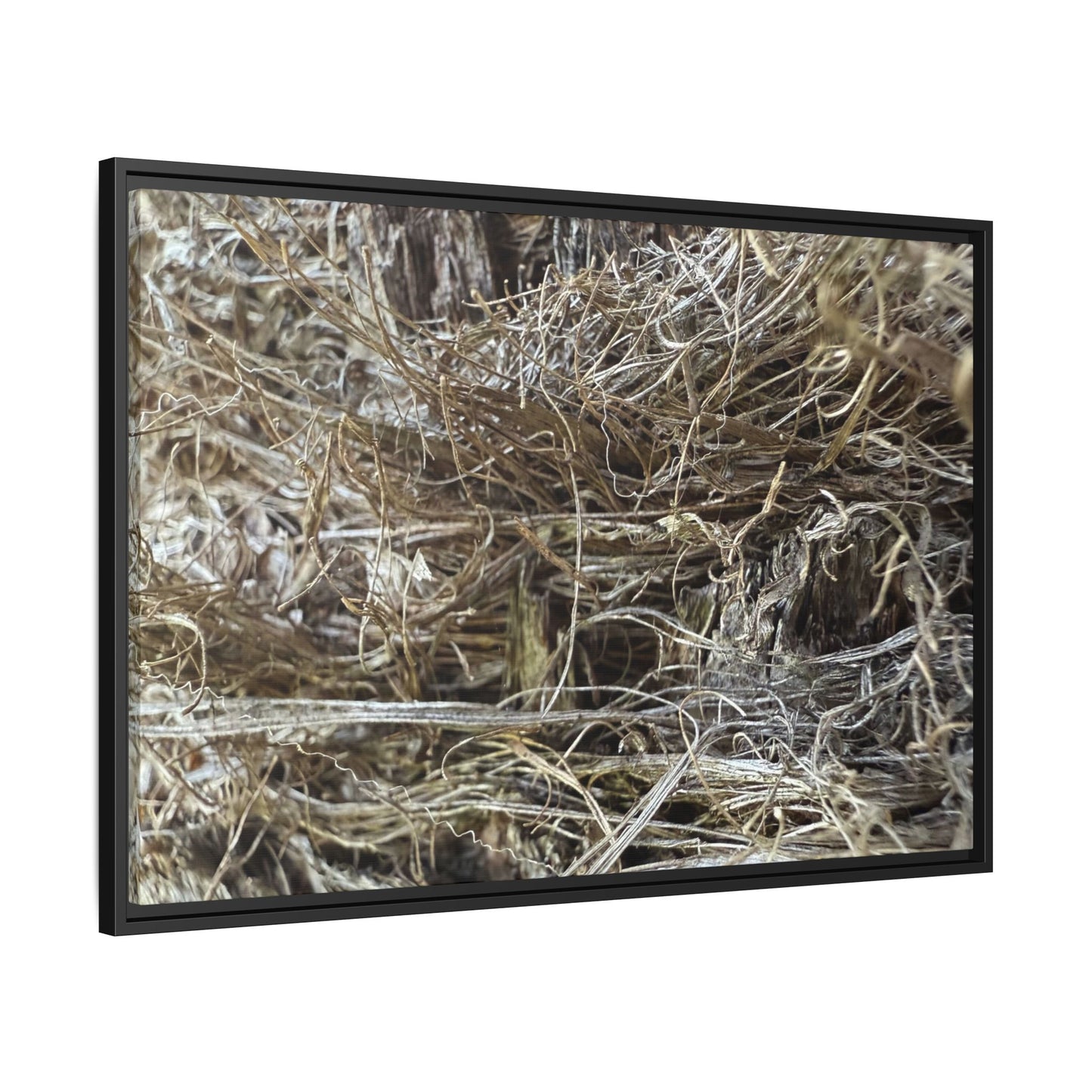 Tangled Whispers of Autumn - Unique Stretched Canvas Wall Art