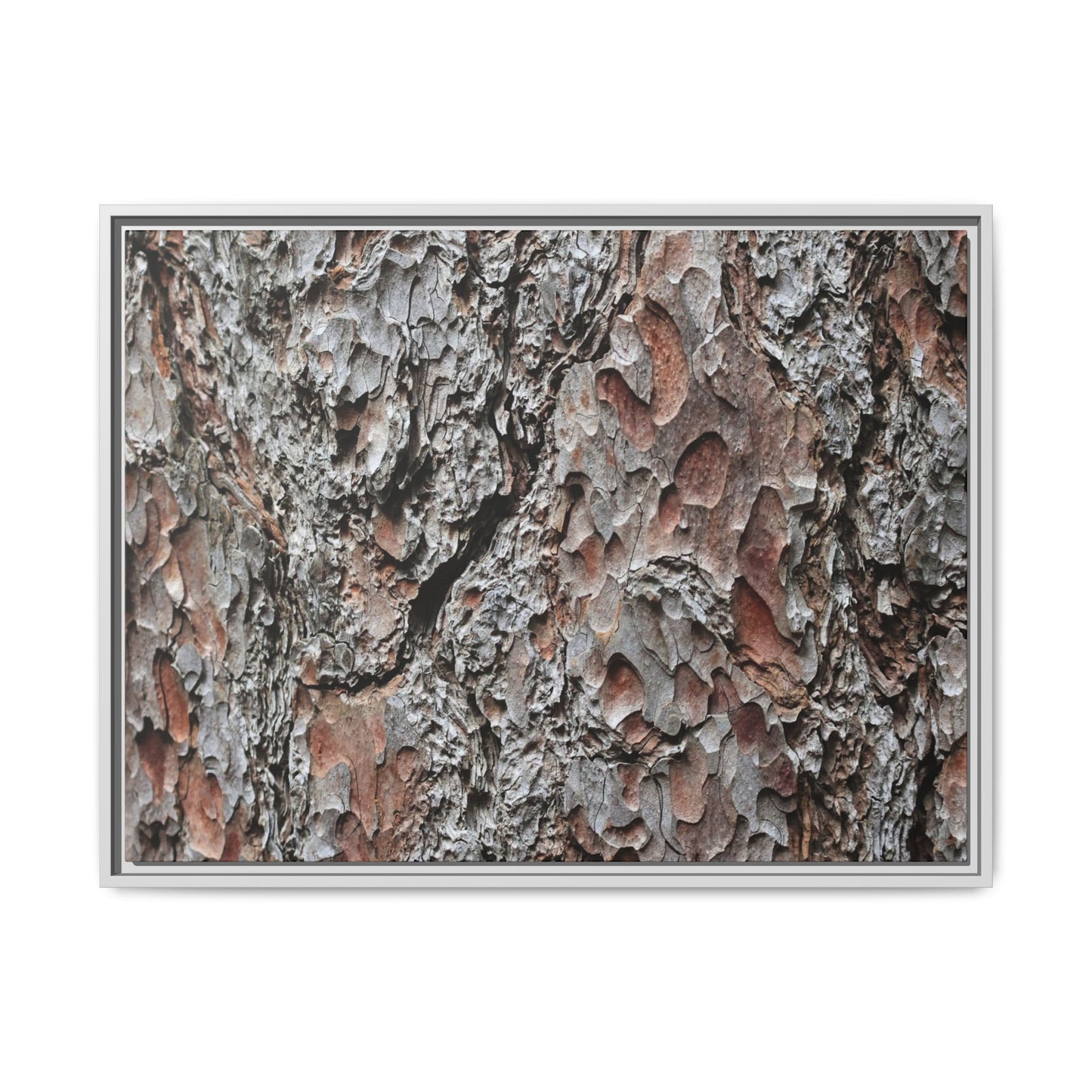 Bark Texture Symphony - Unique Stretched Canvas Wall Art
