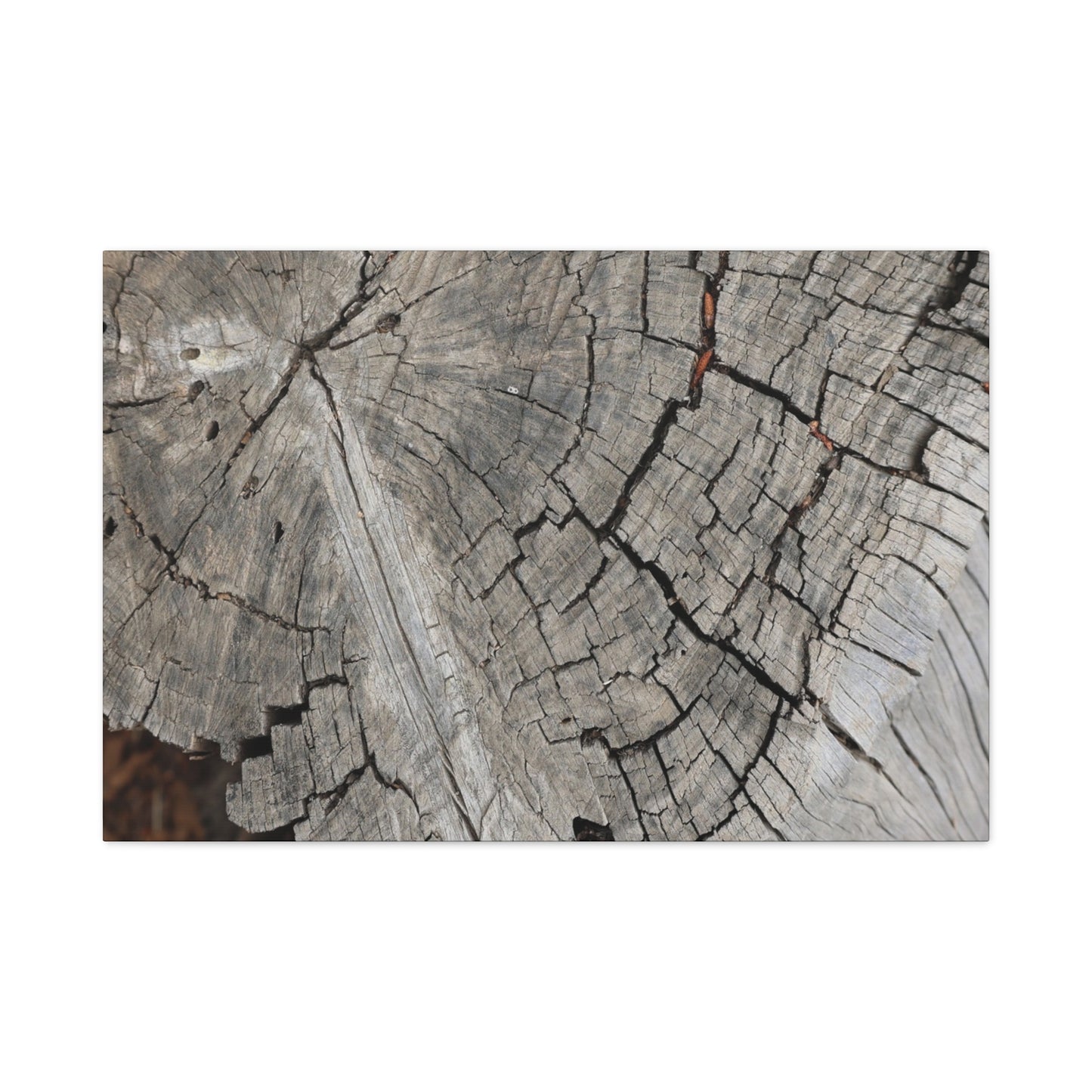 Cracked Memories - Unique Frameless Canvas Wall Art