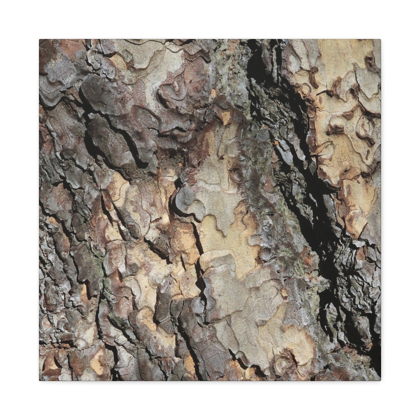 Tree Bark Symphony - Unique Frameless Canvas Wall Art