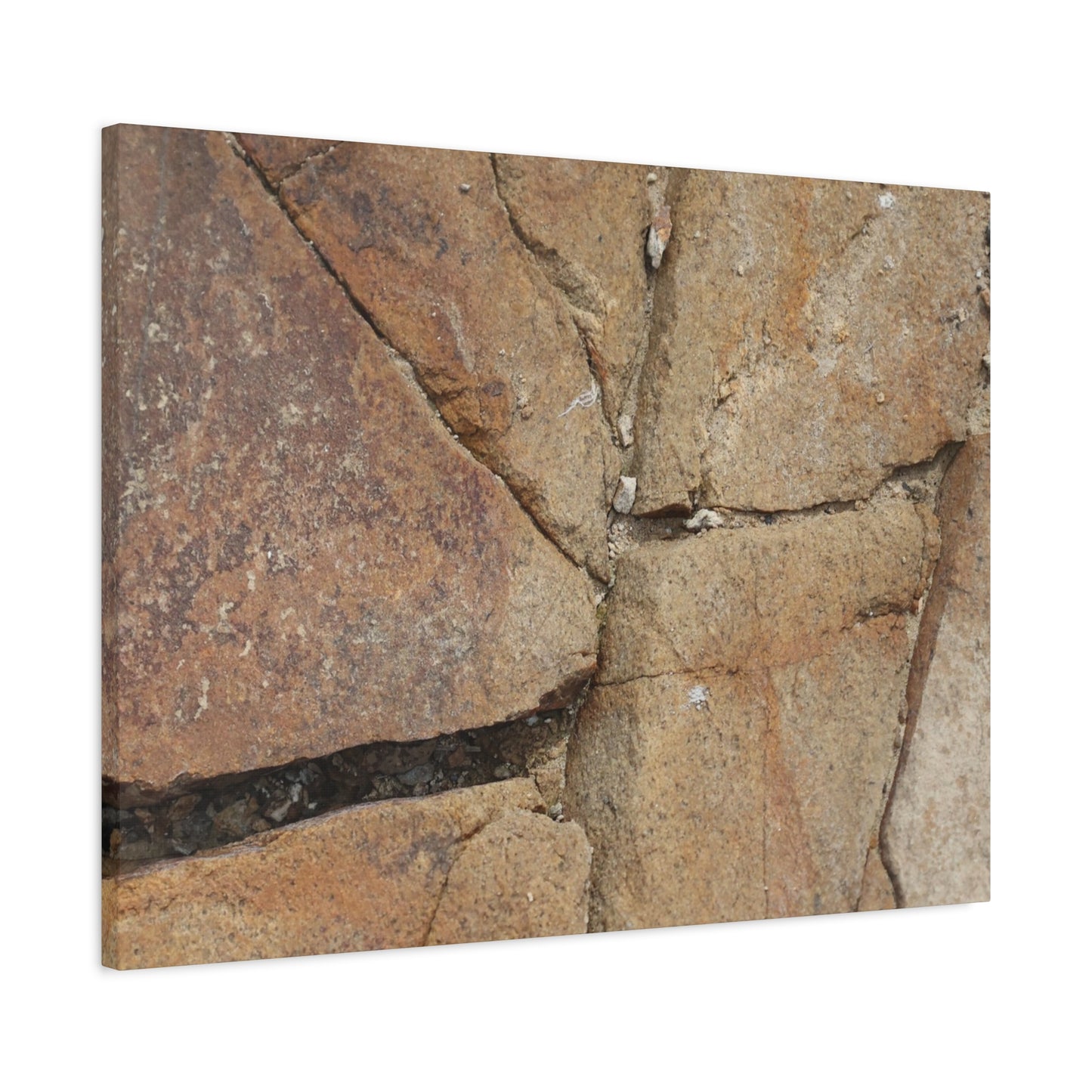 Cracked Earth's Canvas - Unique Frameless Canvas Wall Art
