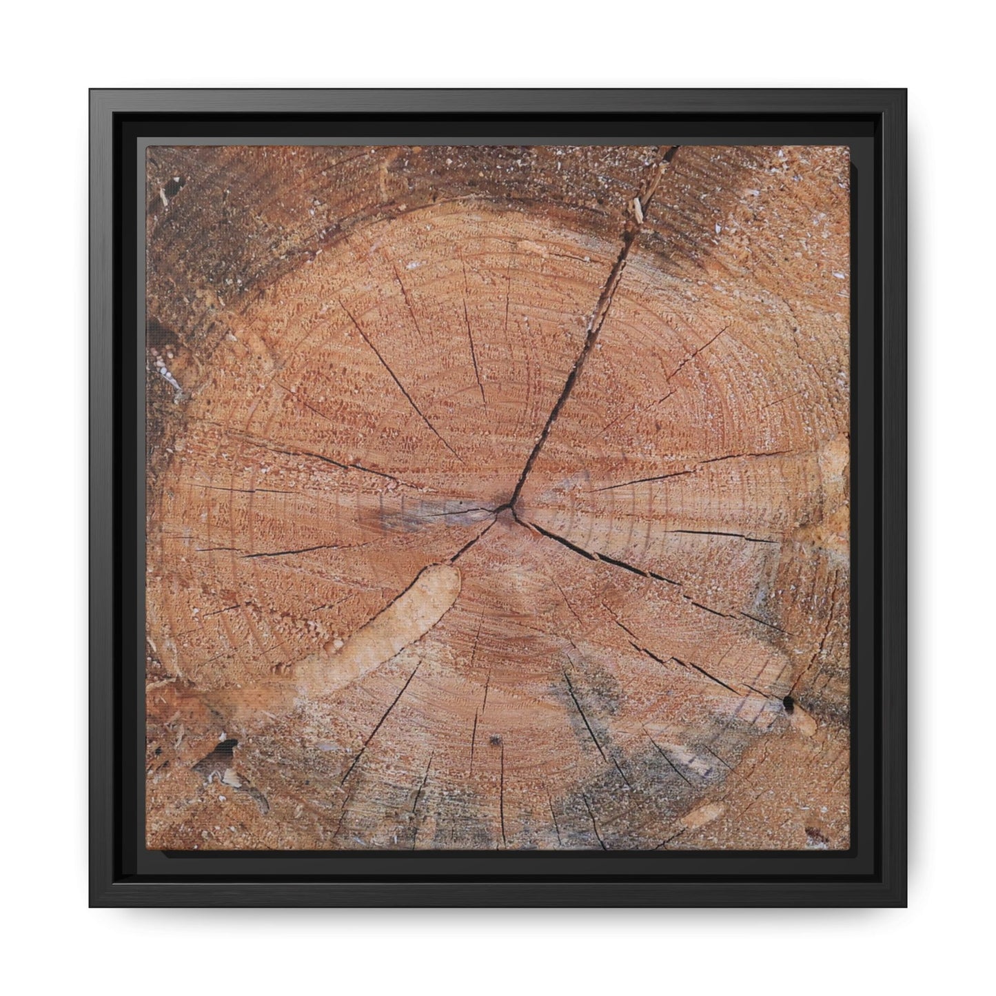 Concentric Memories - Unique Stretched Canvas Wall Art