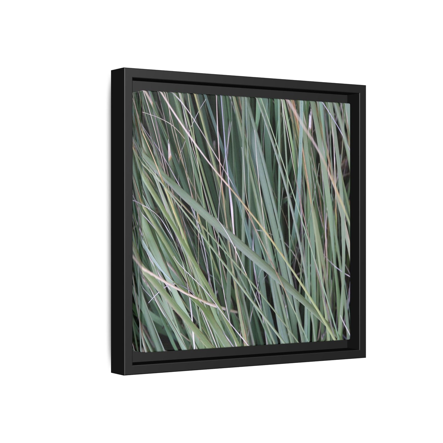 Grassland Symphony - Unique Stretched Canvas Wall Art