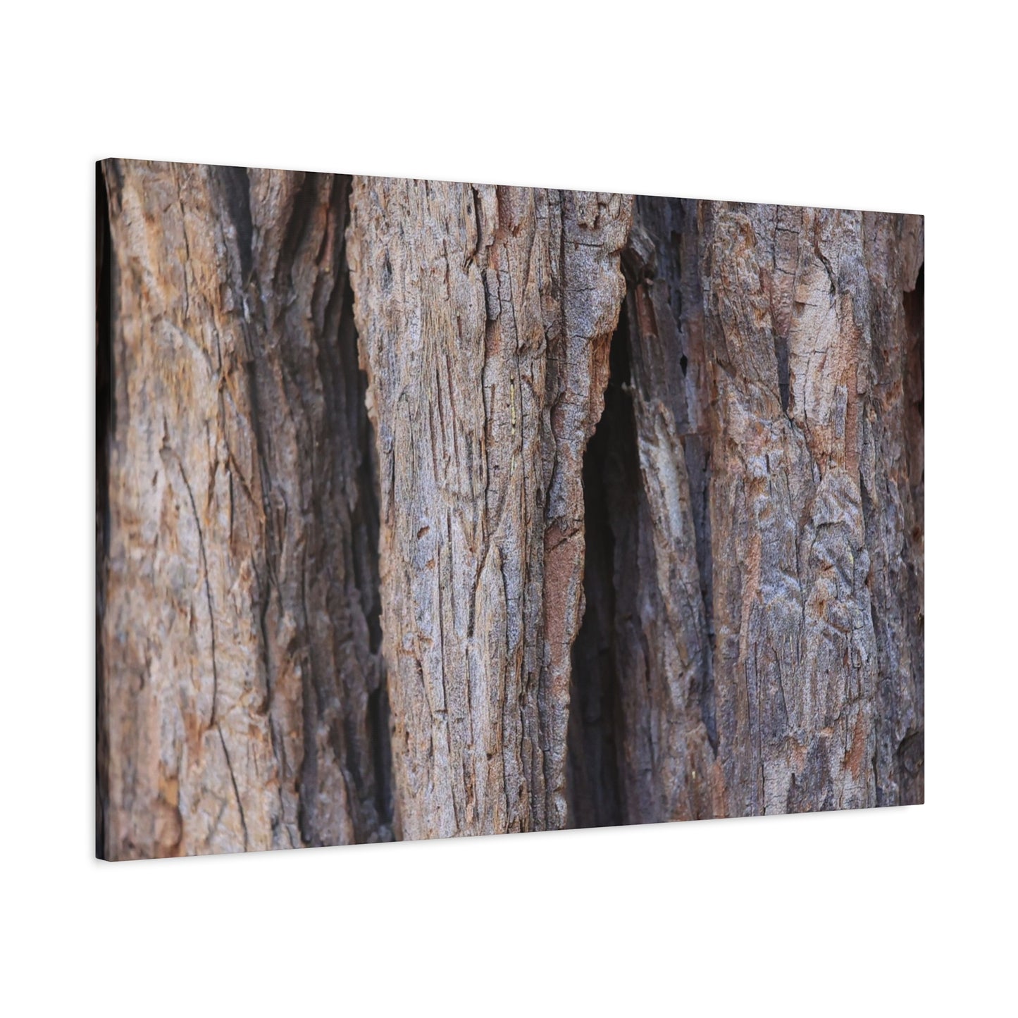 Fractal Skin - Unique Frameless Canvas Wall Art