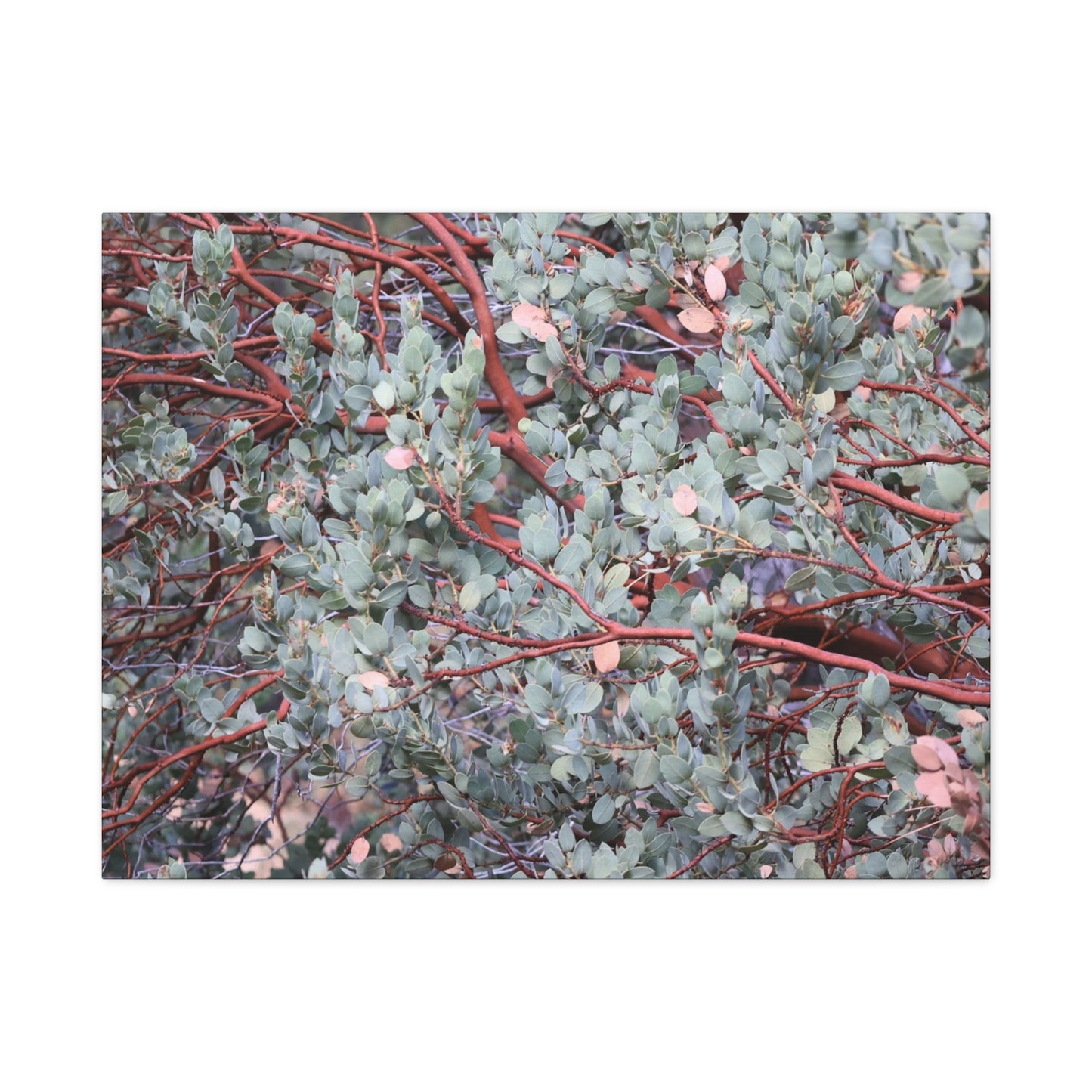 Whispers of Silver and Rust - Unique Frameless Canvas Wall Art