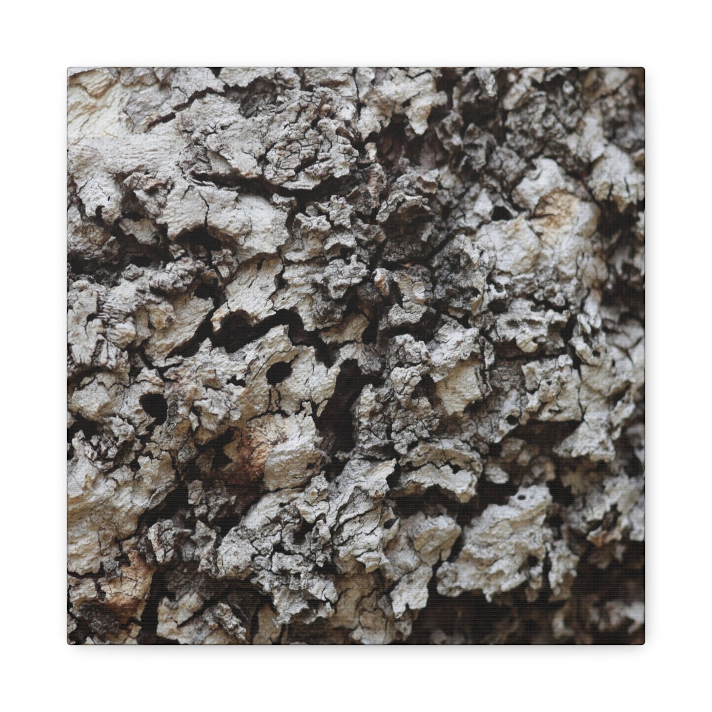 Cracked Earth Tapestry - Unique Frameless Canvas Wall Art