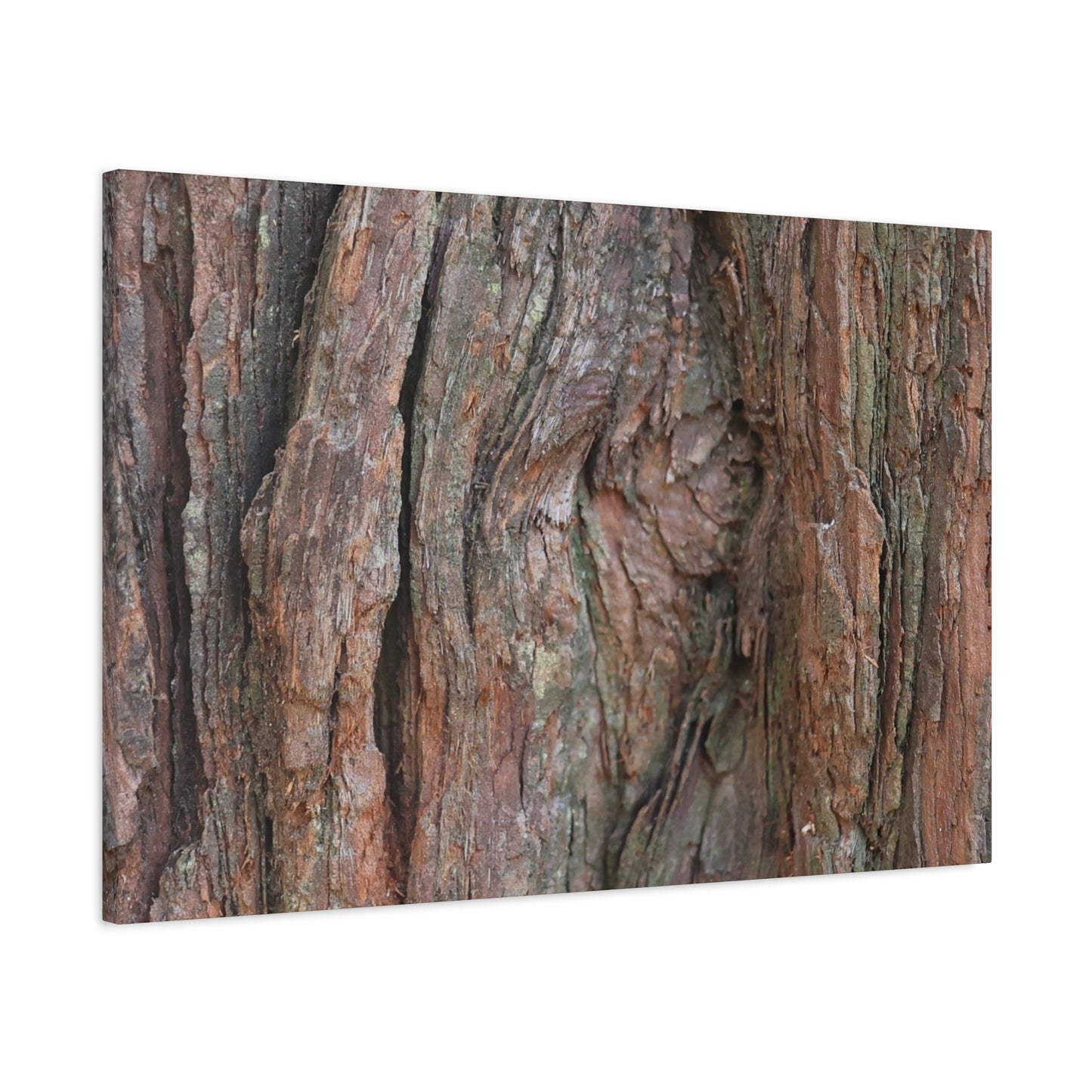 Rustic Embrace - Unique Frameless Canvas Wall Art