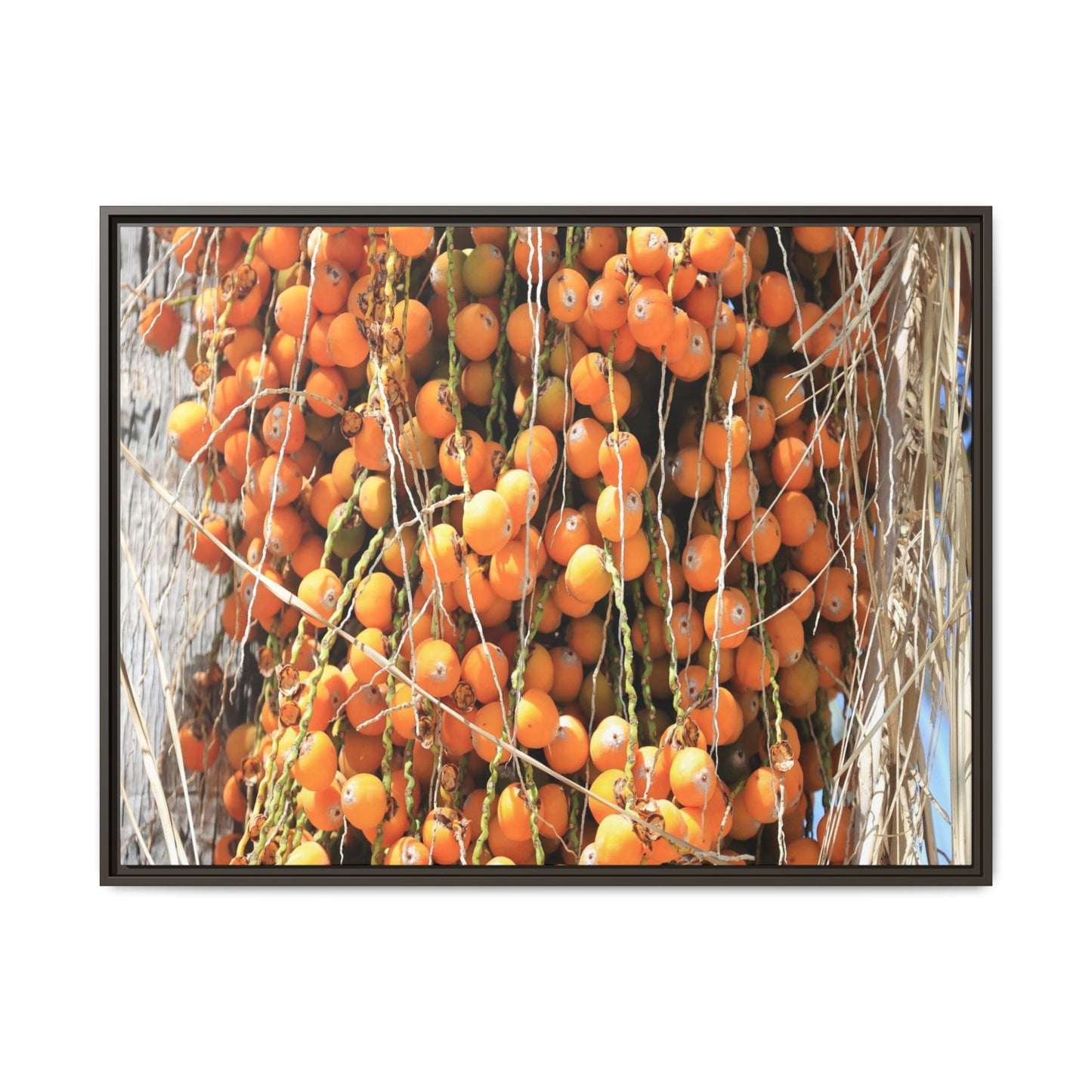 Clusters of Sunlight - Unique Canvas Wall Art