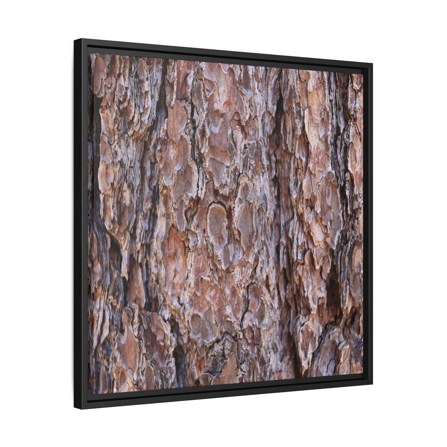 Woody Layers - Unique Stretched Canvas Wall Art