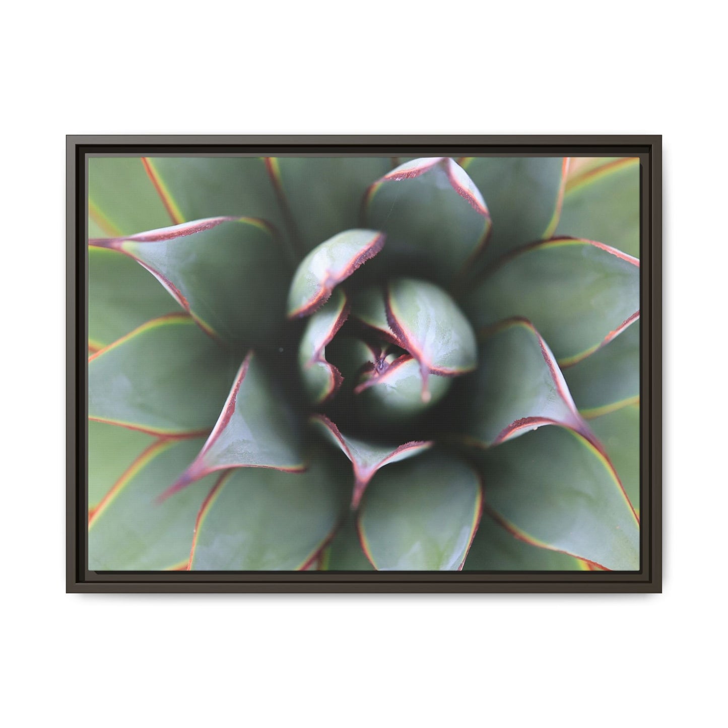 Spiky Elegance - Unique Stretched Canvas Wall Art