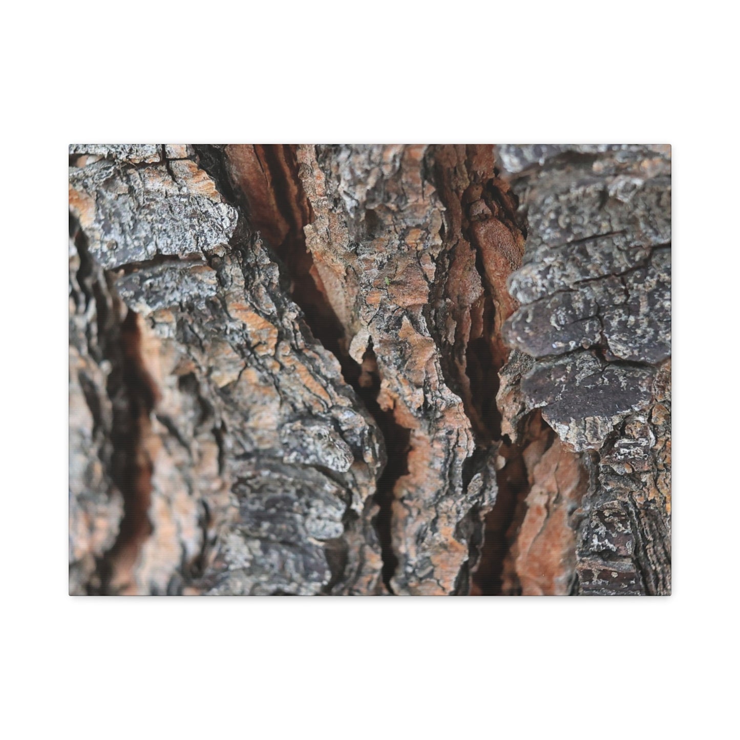 Rough Whispers - Unique Frameless Canvas Wall Art