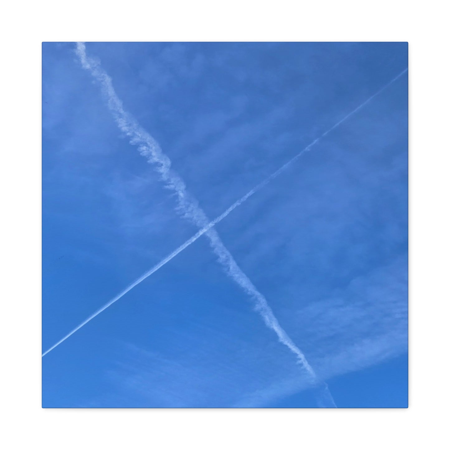 Crossing Paths - Unique Frameless Canvas Wall Art