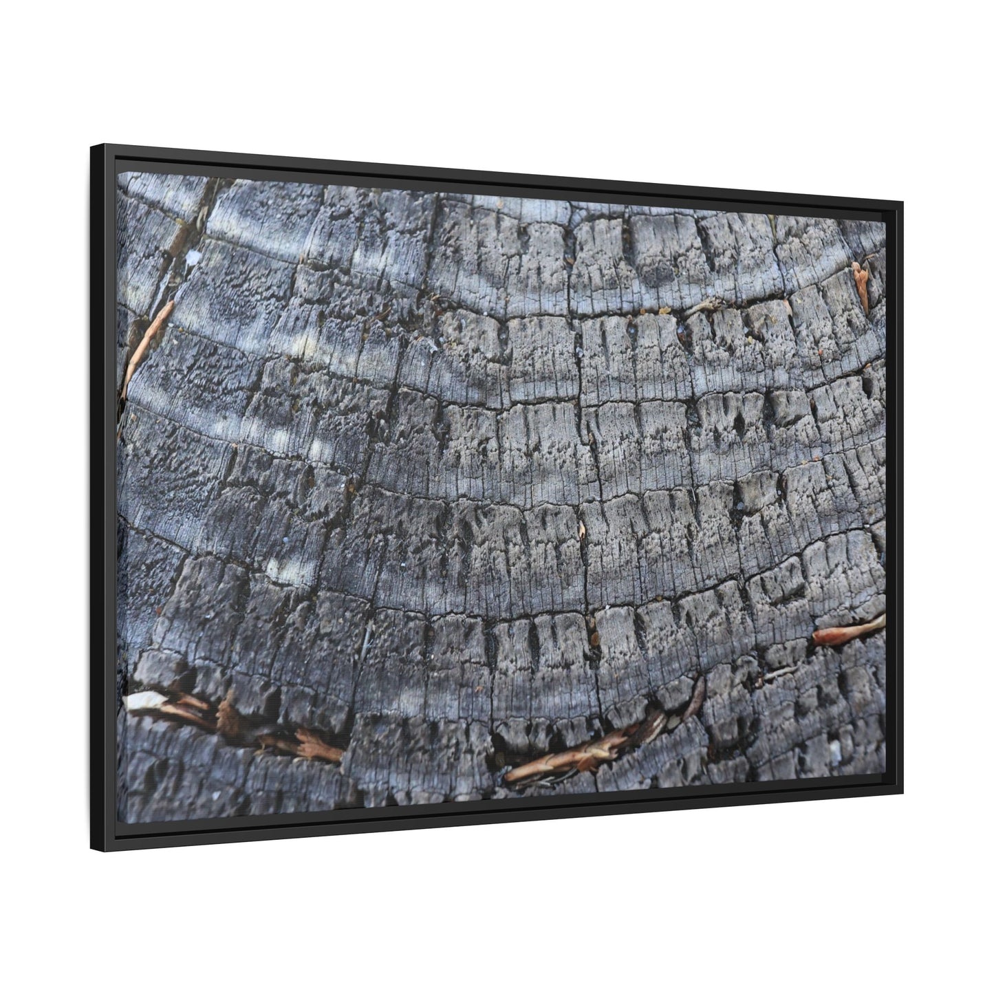 Charred Memories - Unique Stretched Canvas Wall Art