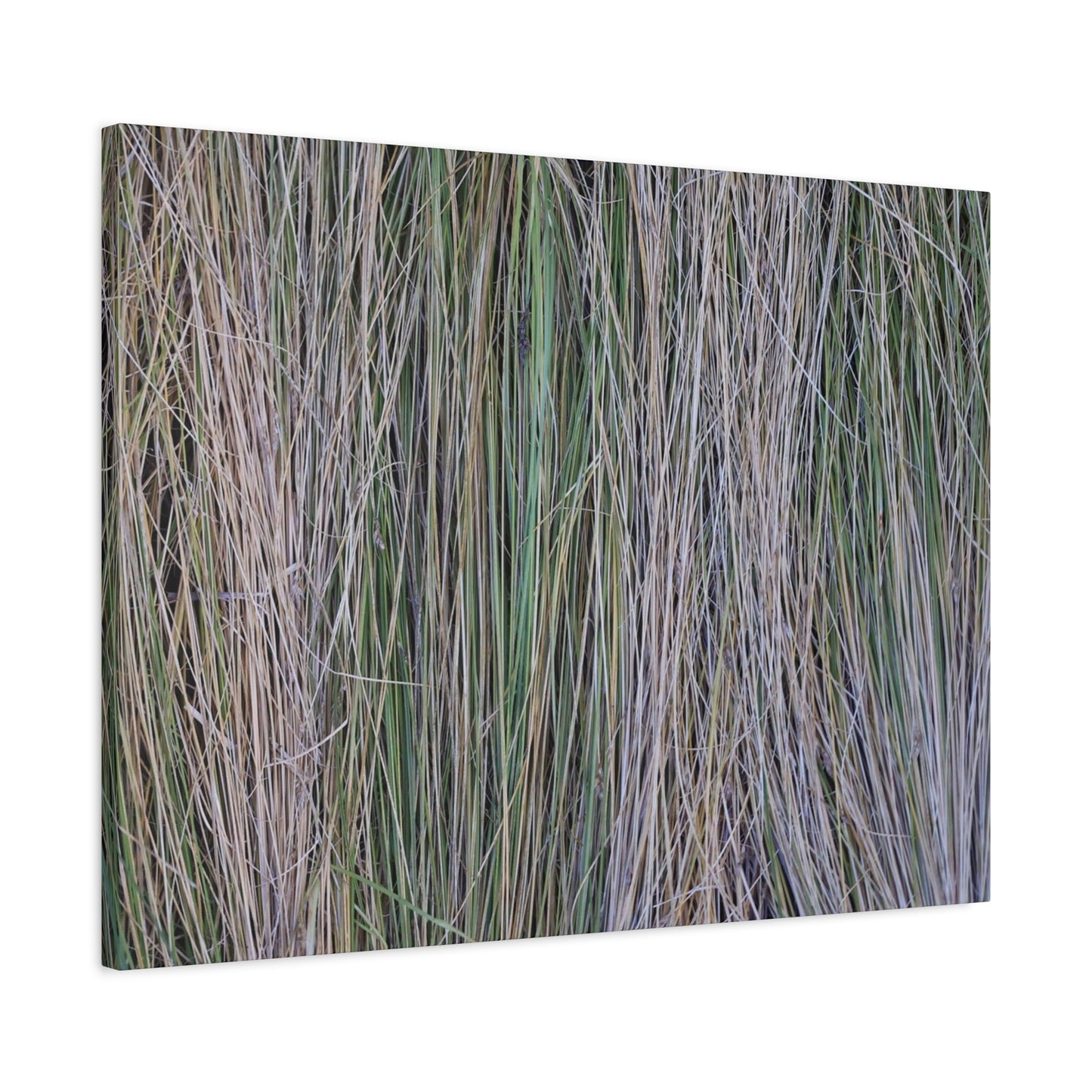 Whispers of Grass - Unique Frameless Canvas Wall Art
