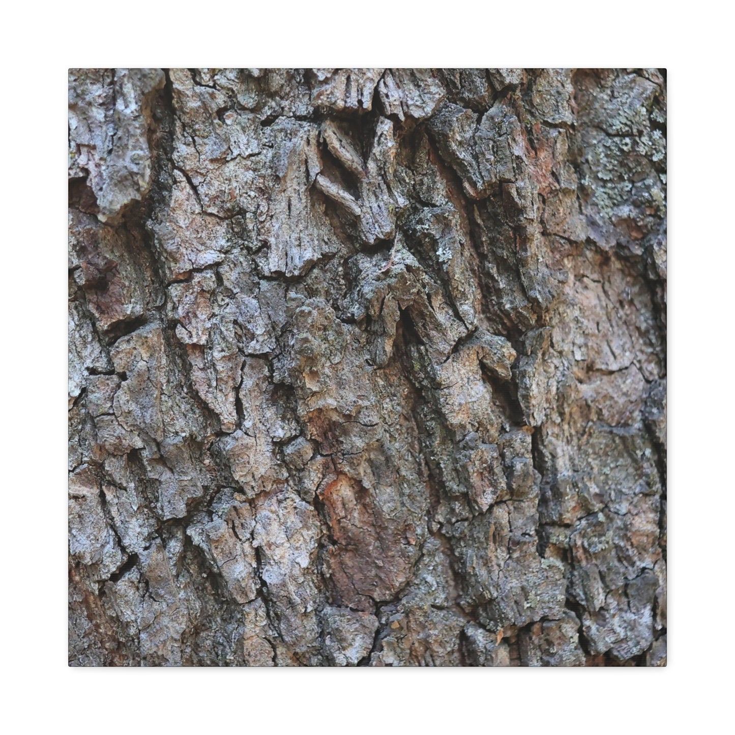 Rugged Canvas - Unique Frameless Canvas Wall Art