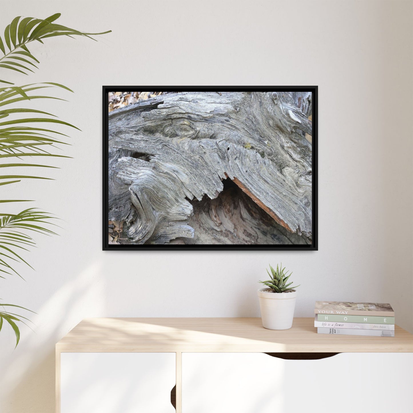 Driftwood Dreams - Unique Stretched Canvas Wall Art