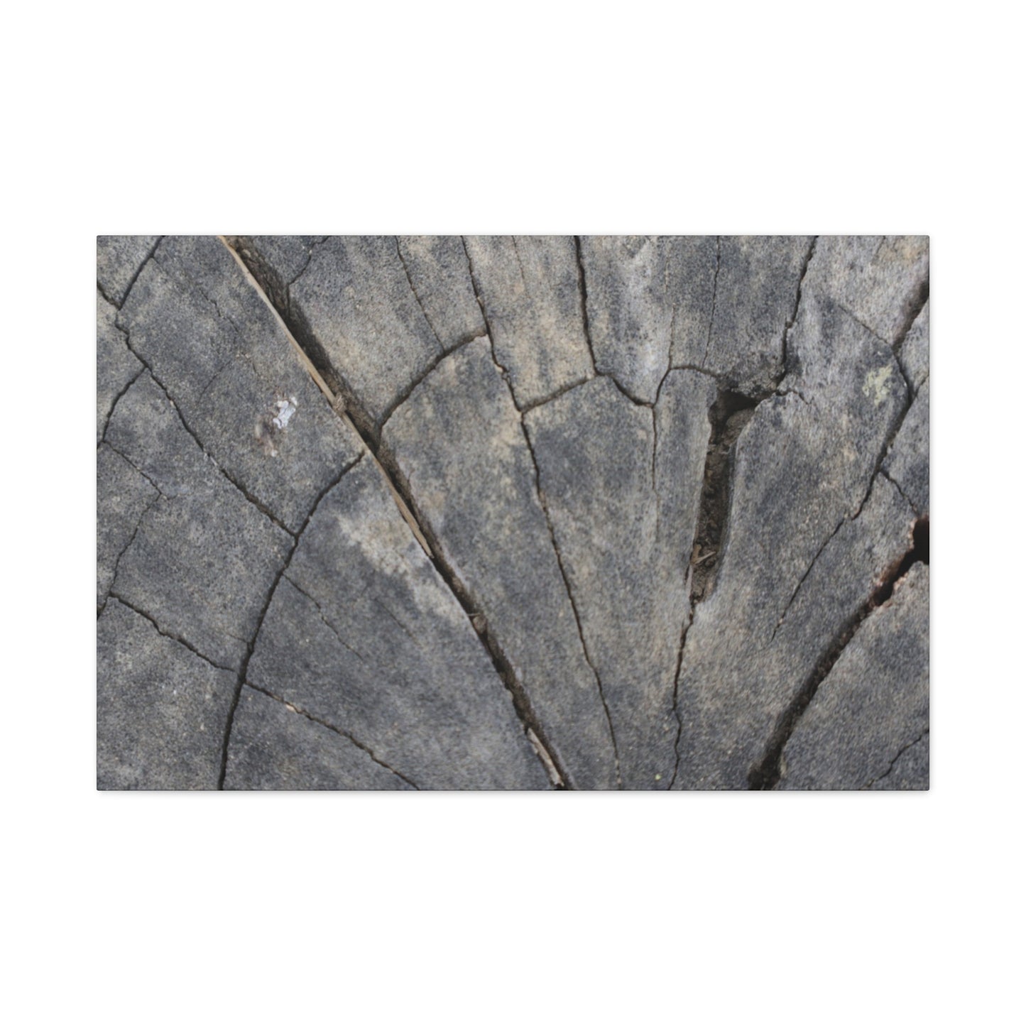 Geological Mosaic - Unique Frameless Canvas Wall Art