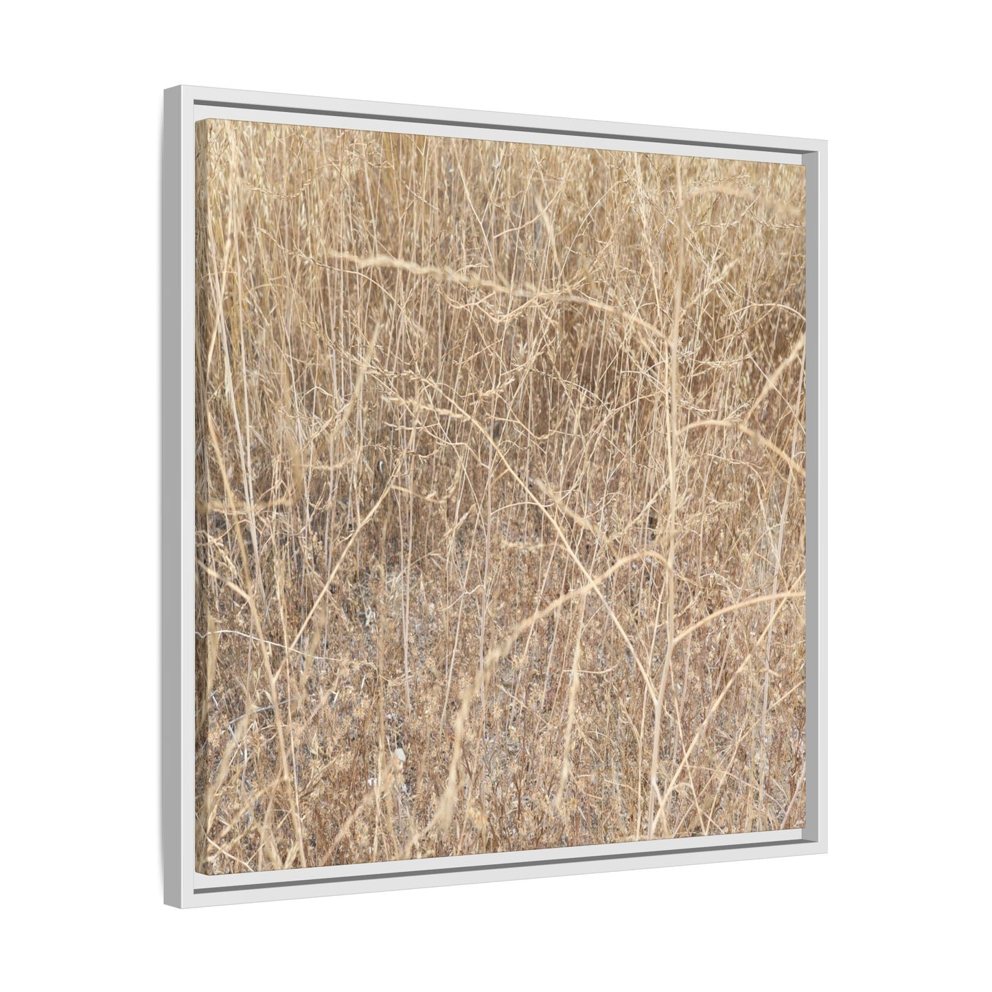 Golden Stalks - Unique Stretched Canvas Wall Art