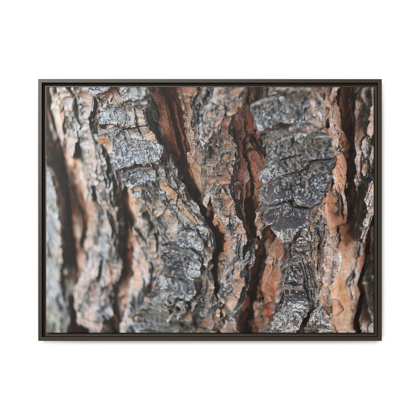 Fractured Nature - Unique Stretched Canvas Wall Art