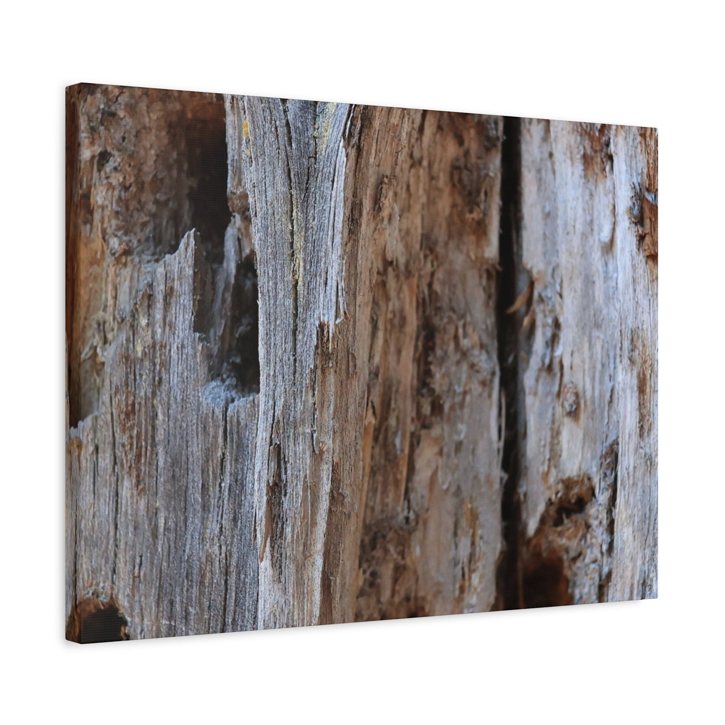Timber Tapestry - Unique Frameless Canvas Wall Art