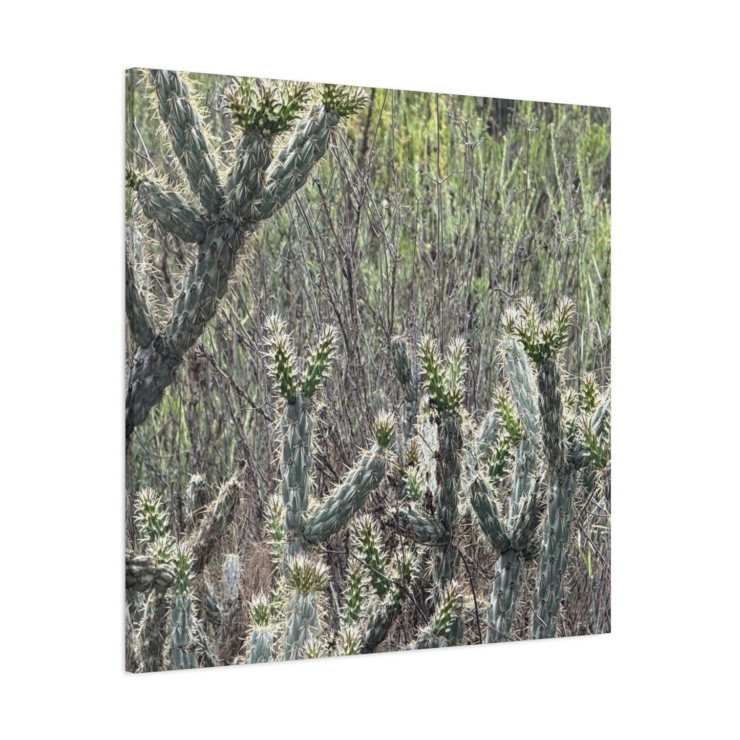 Spiny Sentinels - Unique Frameless Canvas Wall Art