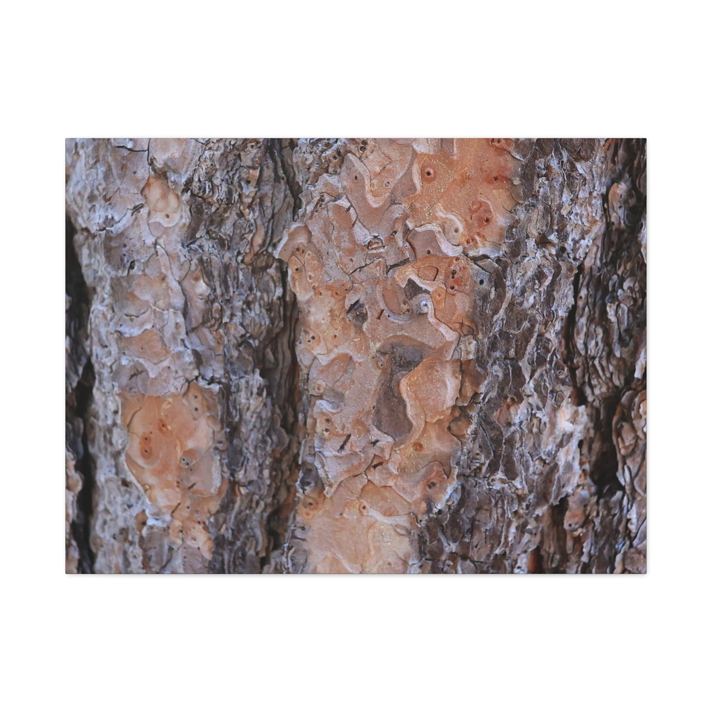 Terracotta Textures - Unique Frameless Canvas Wall Art