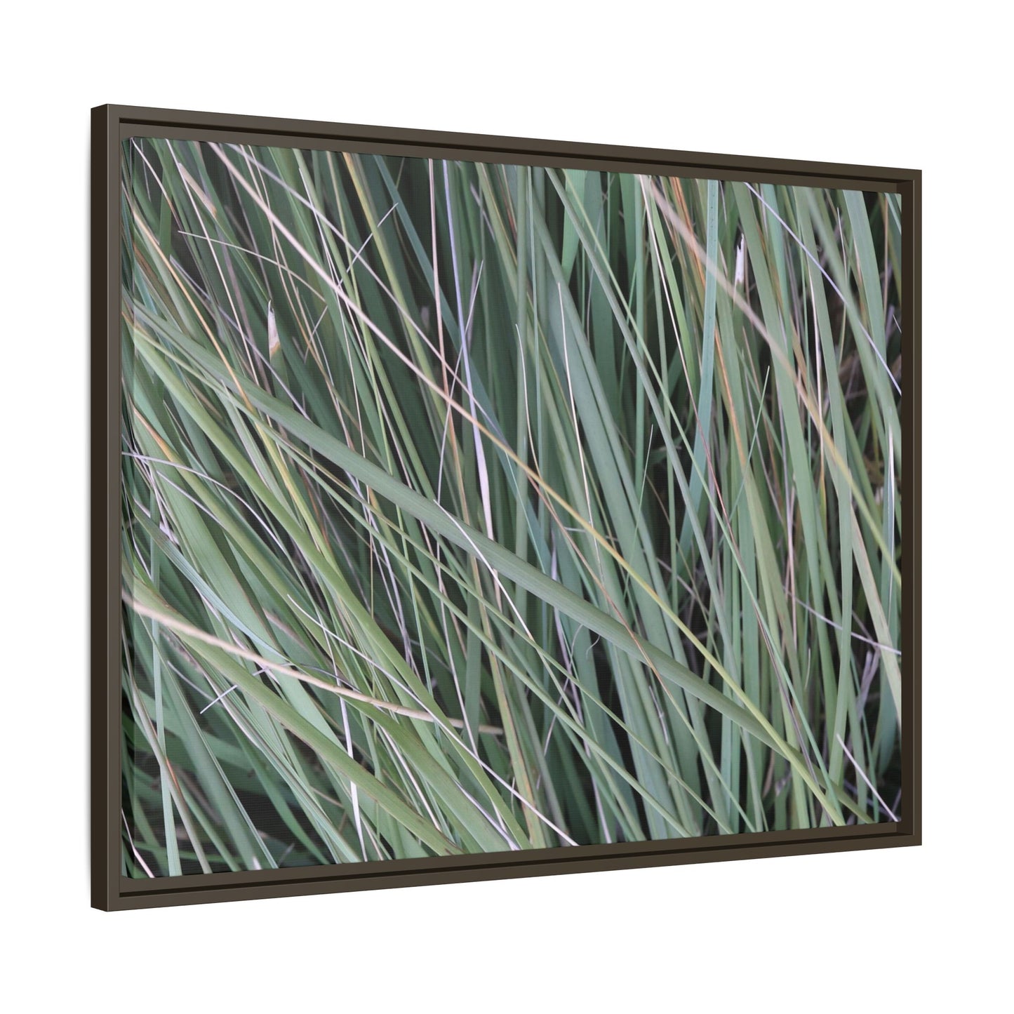 Grassland Symphony - Unique Stretched Canvas Wall Art