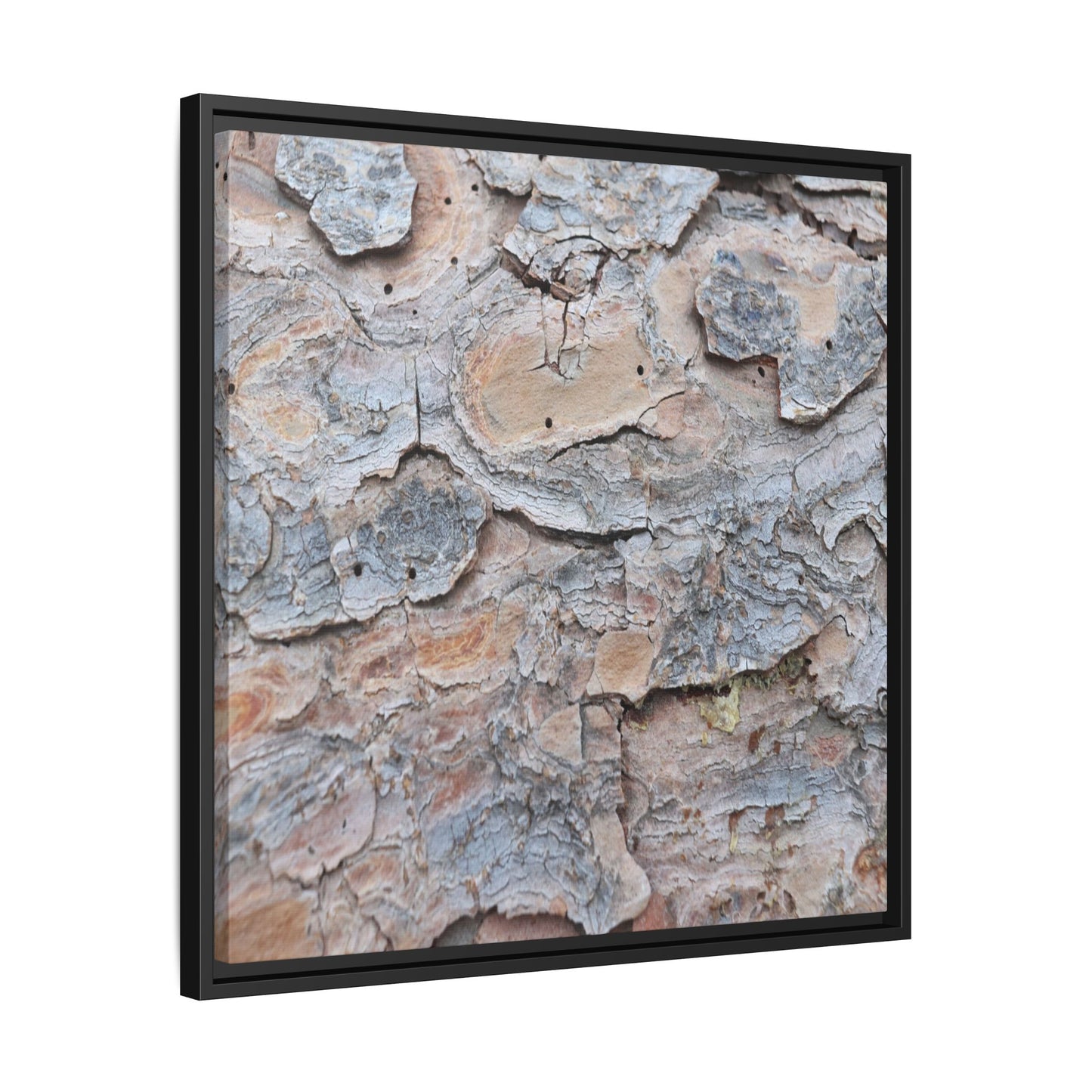 Peeling Memories - Unique Stretched Canvas Wall Art