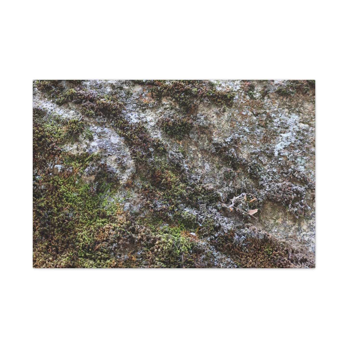 Moss Tapestry - Unique Frameless Canvas Wall Art