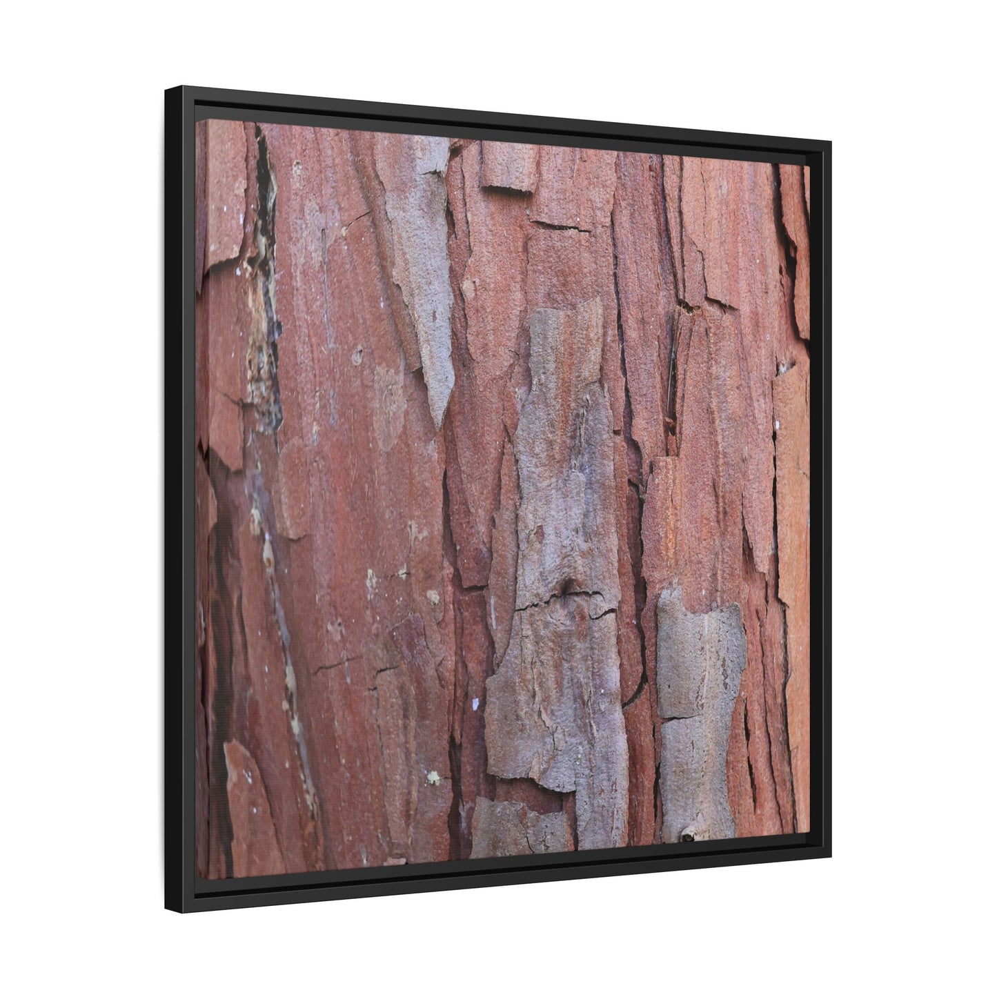 Peeling Bark - Unique Stretched Canvas Wall Art