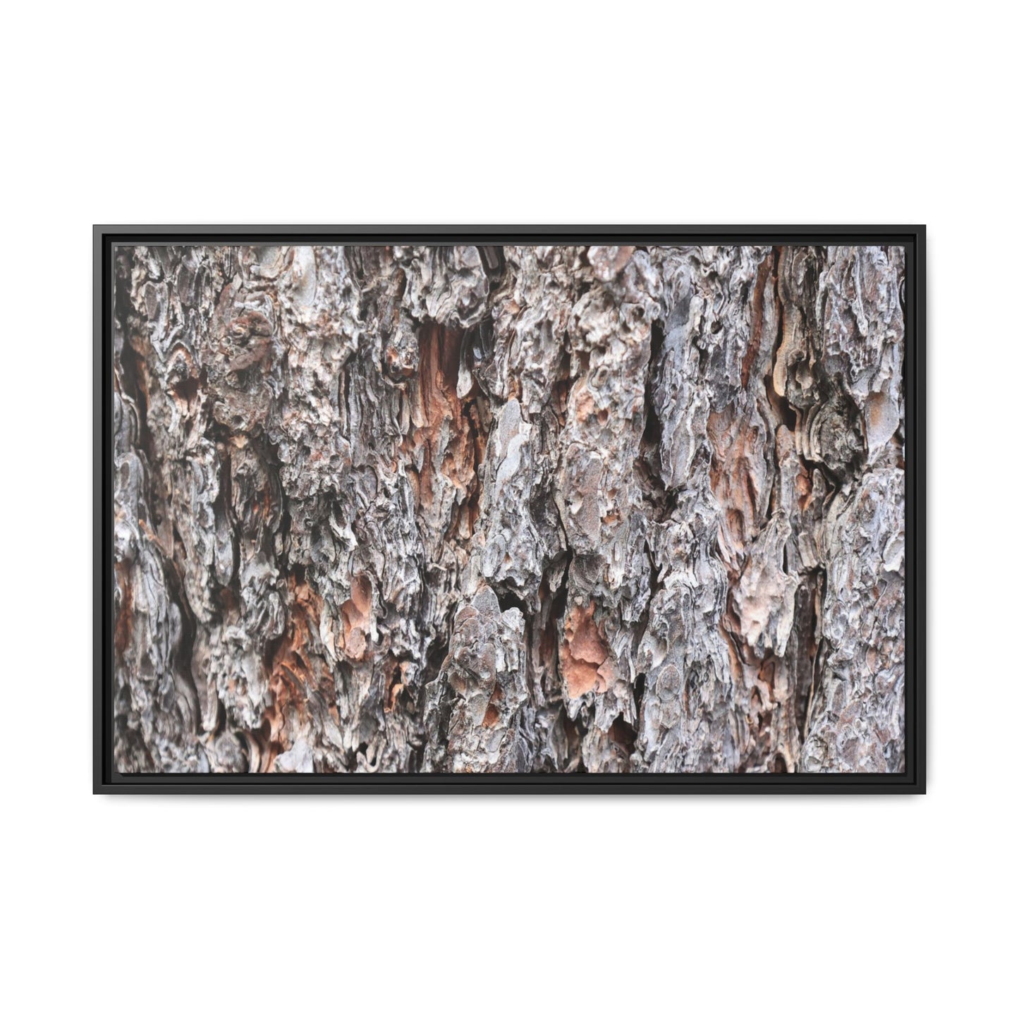Rugged Cortex - Unique Stretched Canvas Wall Art