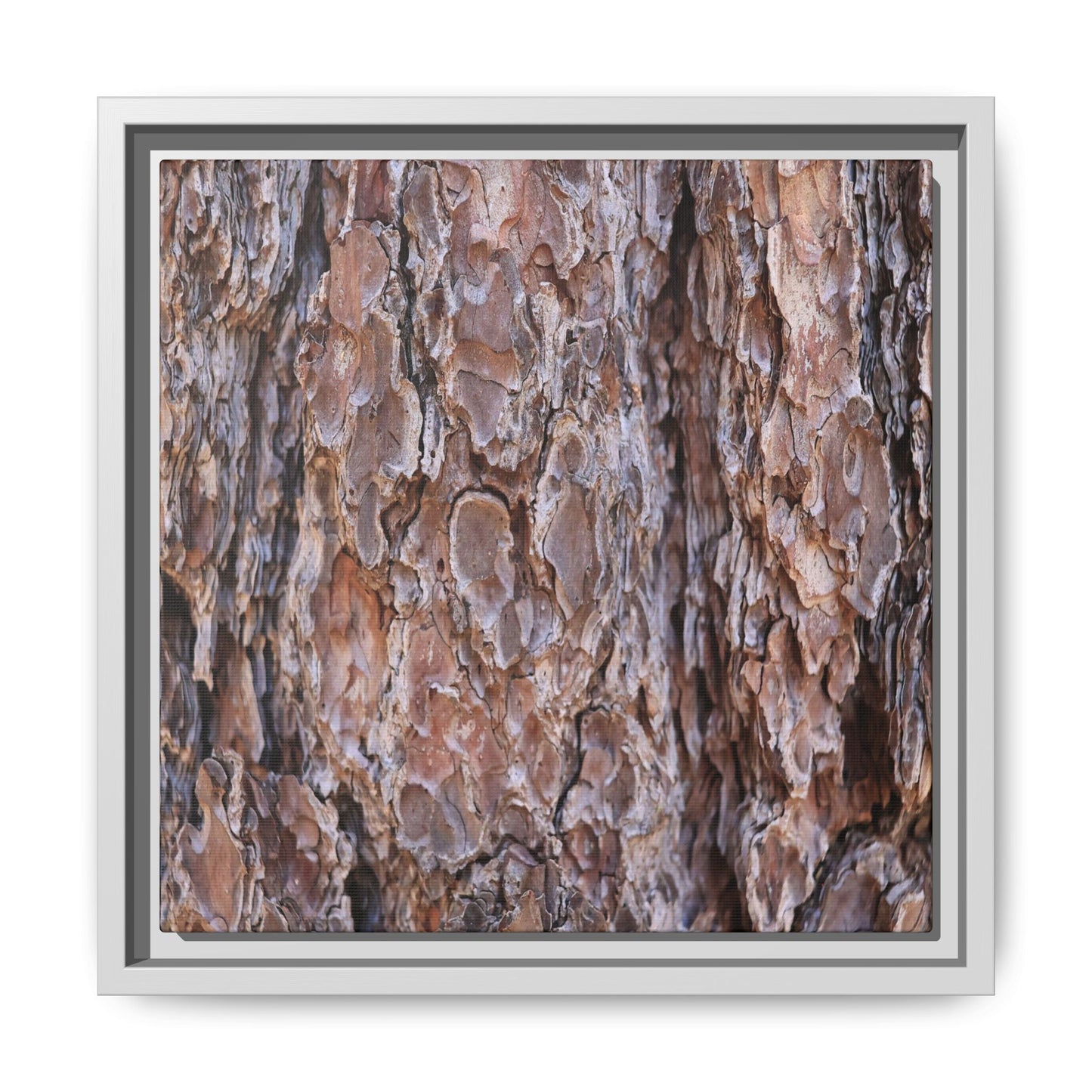 Woody Layers - Unique Stretched Canvas Wall Art