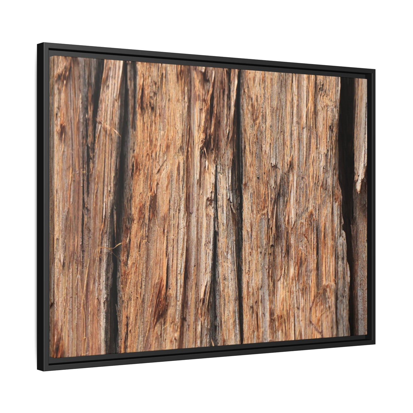 Timber Echoes - Unique Stretched Canvas Wall Art
