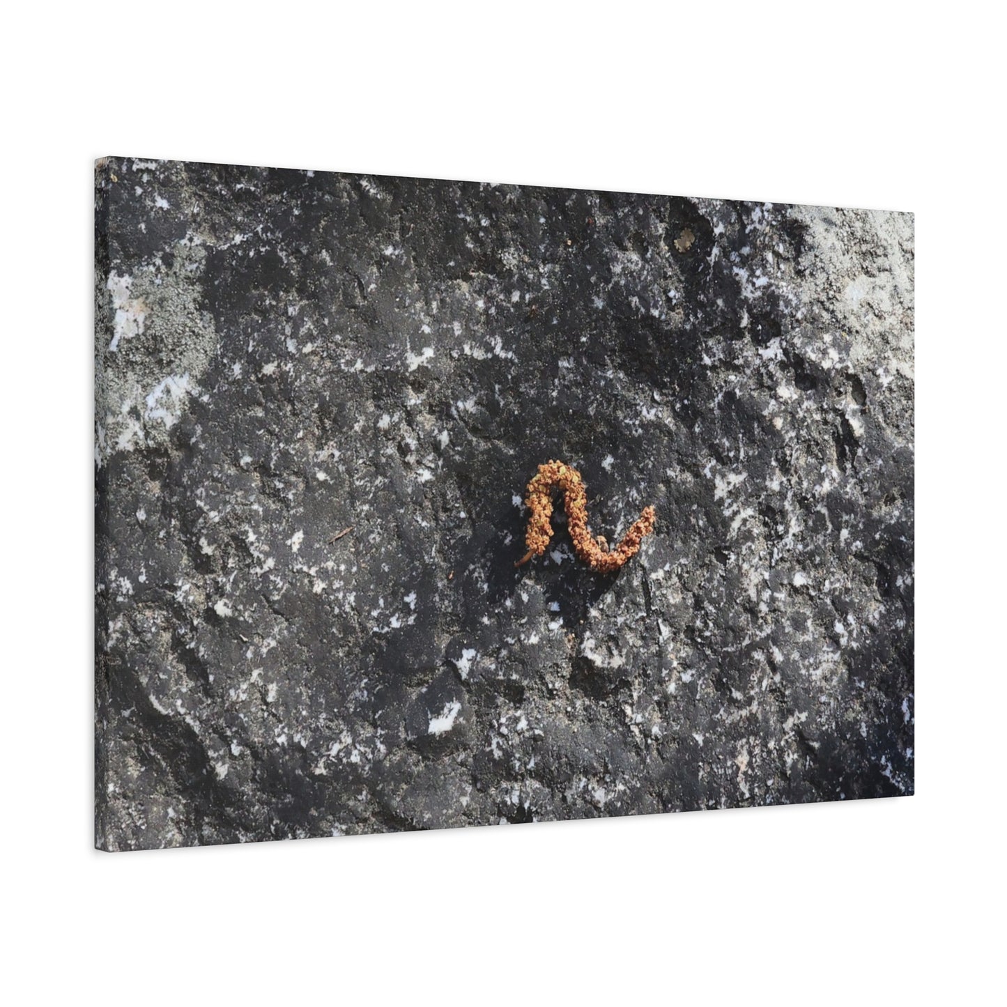 Earthen Serpent - Unique Frameless Canvas Wall Art