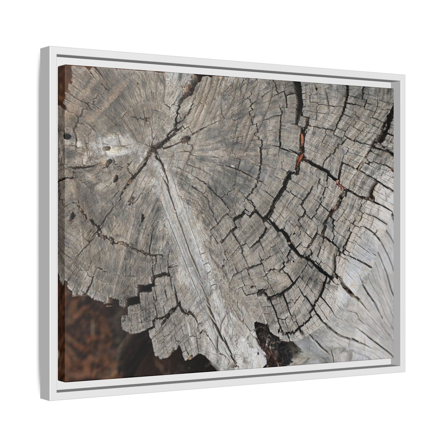 Time's Signature - Unique Stretched Canvas Wall Art