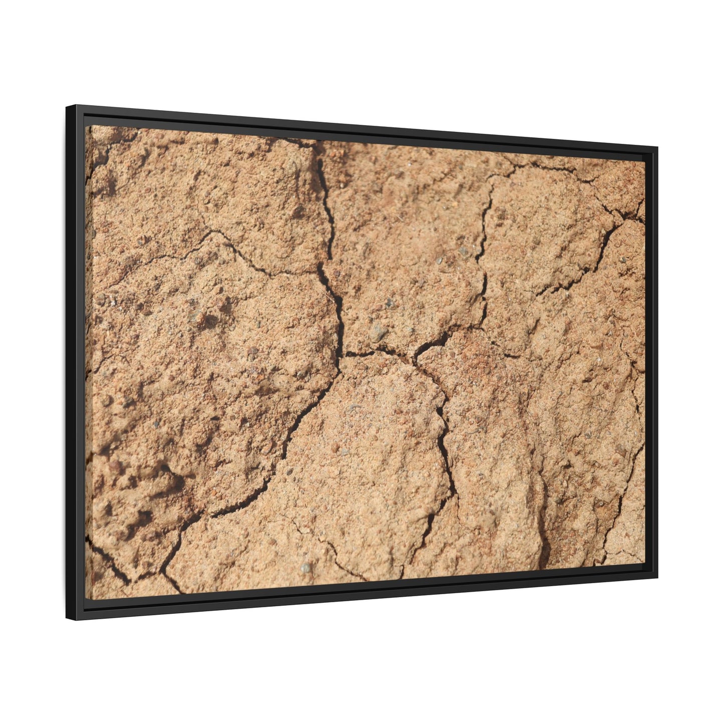 Parched Land - Unique Stretched Canvas Wall Art