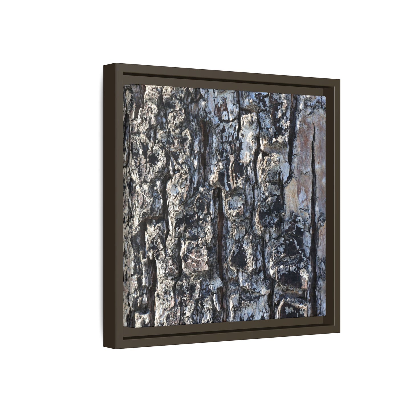 The Bark Chronicles - Unique Stretched Canvas Wall Art
