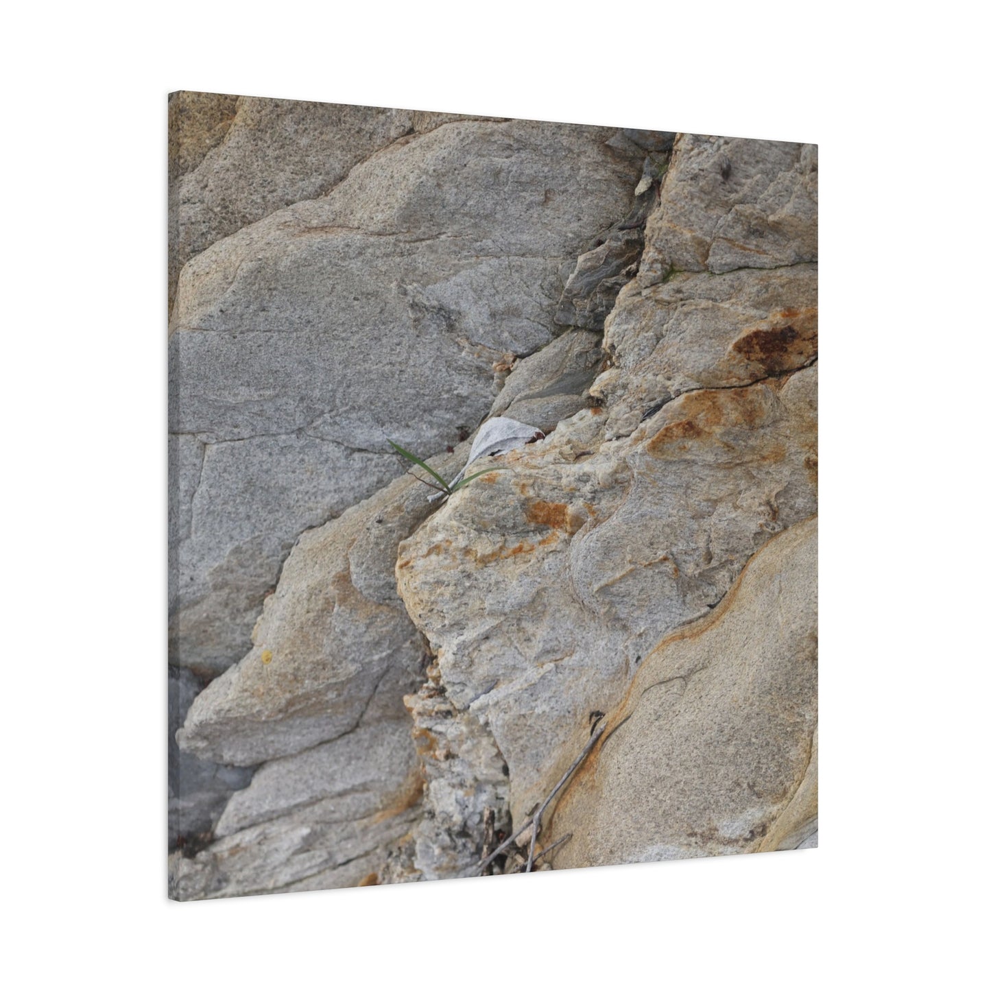 Fractal Earth - Unique Frameless Canvas Wall Art