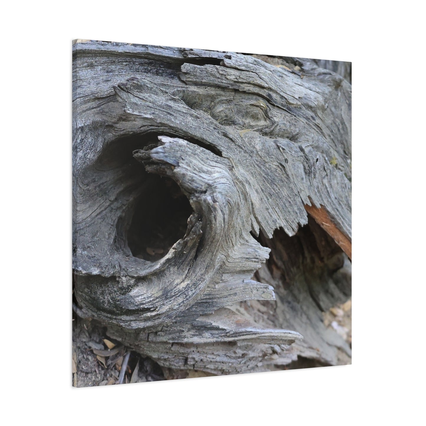 Twisted Whispers of the Forest Floor - Unique Frameless Canvas Wall Art