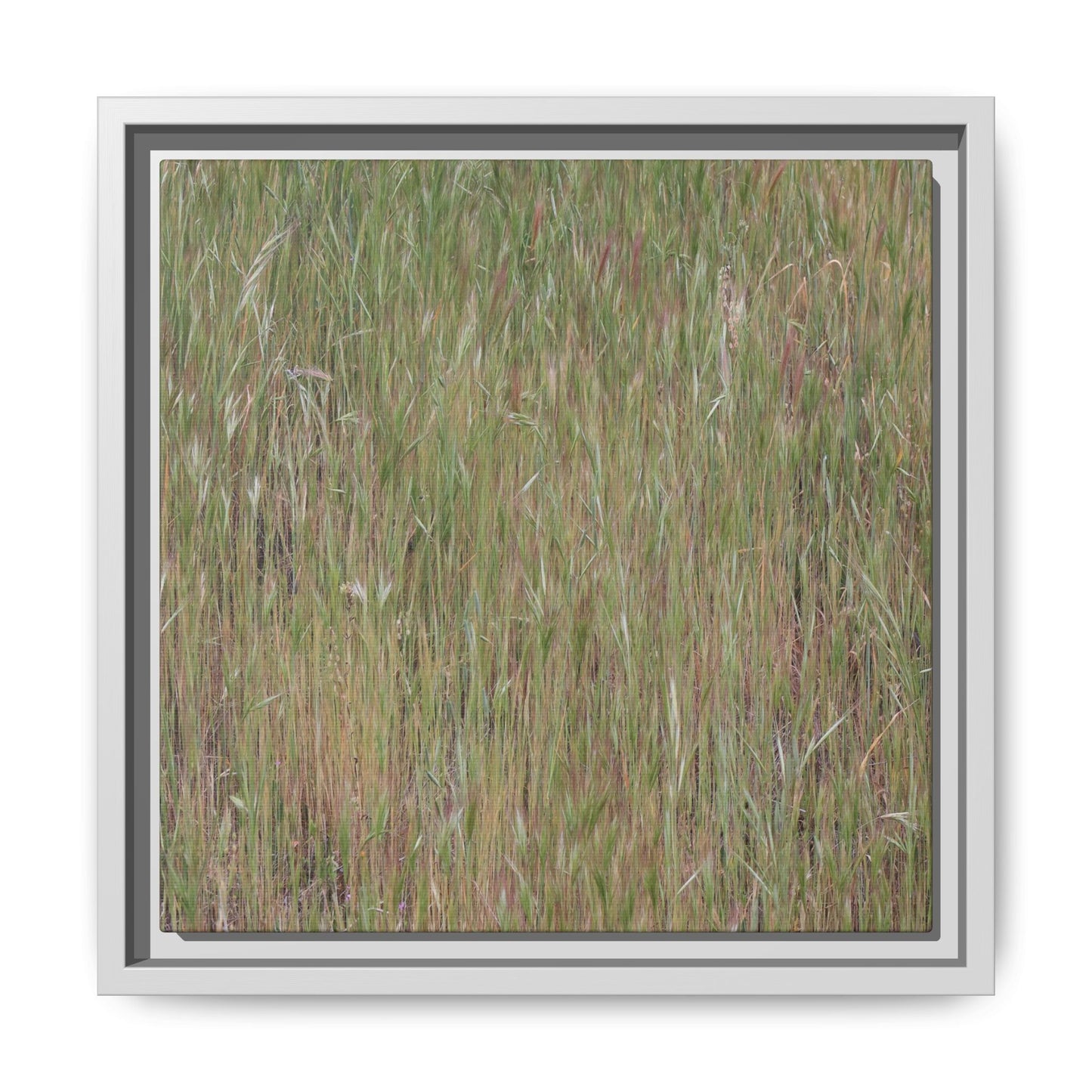 Field of Dreams - Unique Stretched Canvas Wall Art