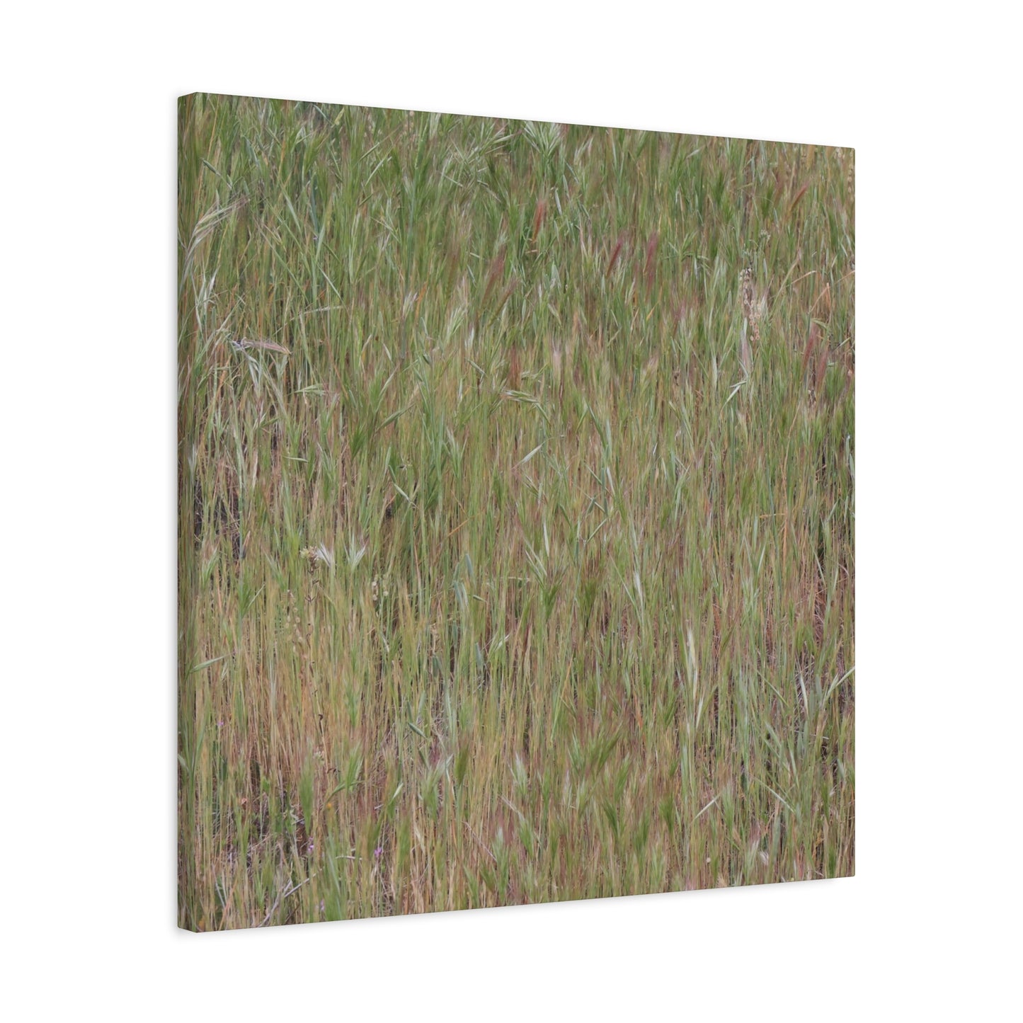 Whispers of the Prairie - Unique Frameless Canvas Wall Art