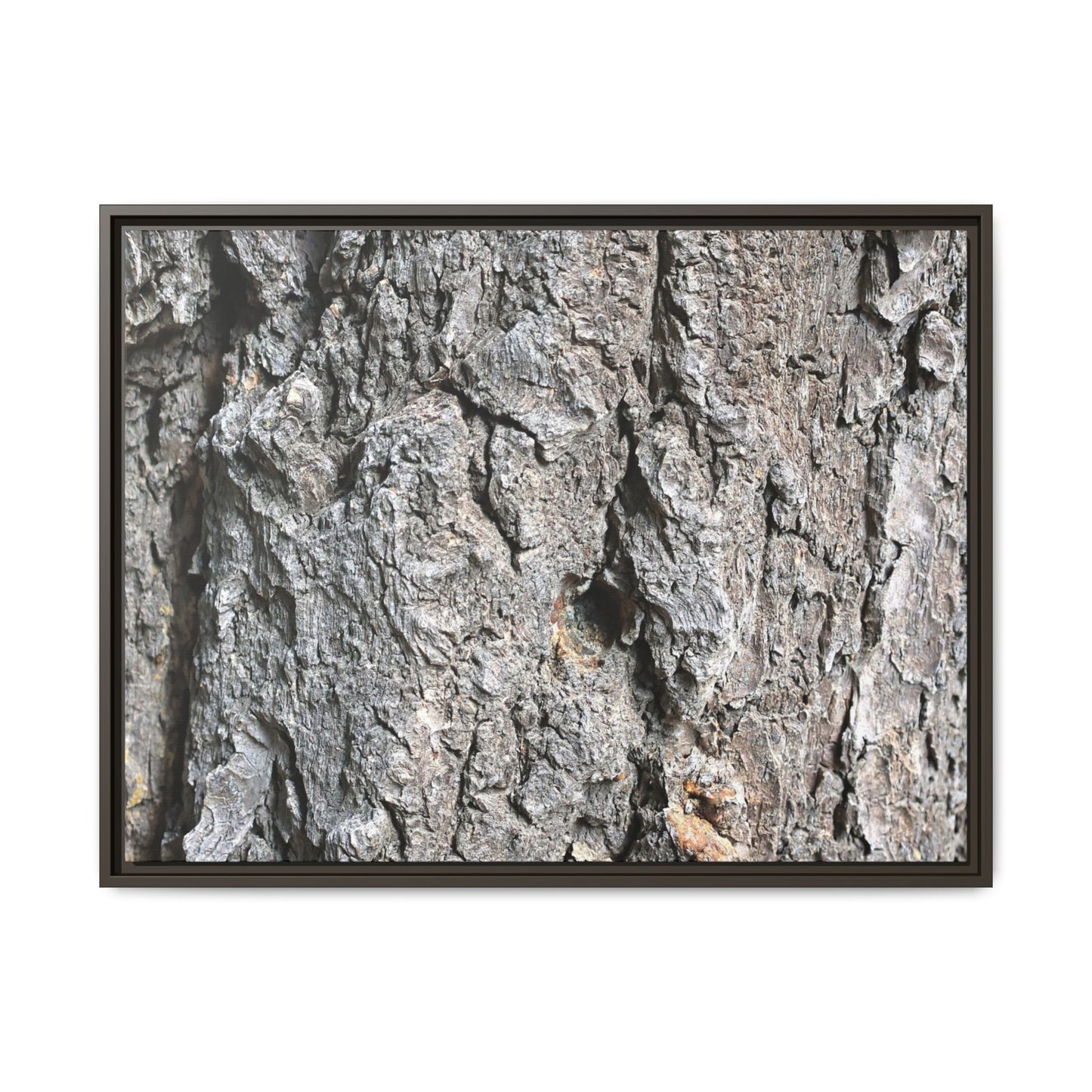 Crusty Exterior - Unique Stretched Canvas Wall Art