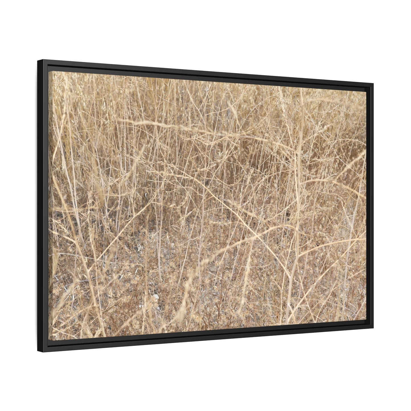 Golden Stalks - Unique Stretched Canvas Wall Art