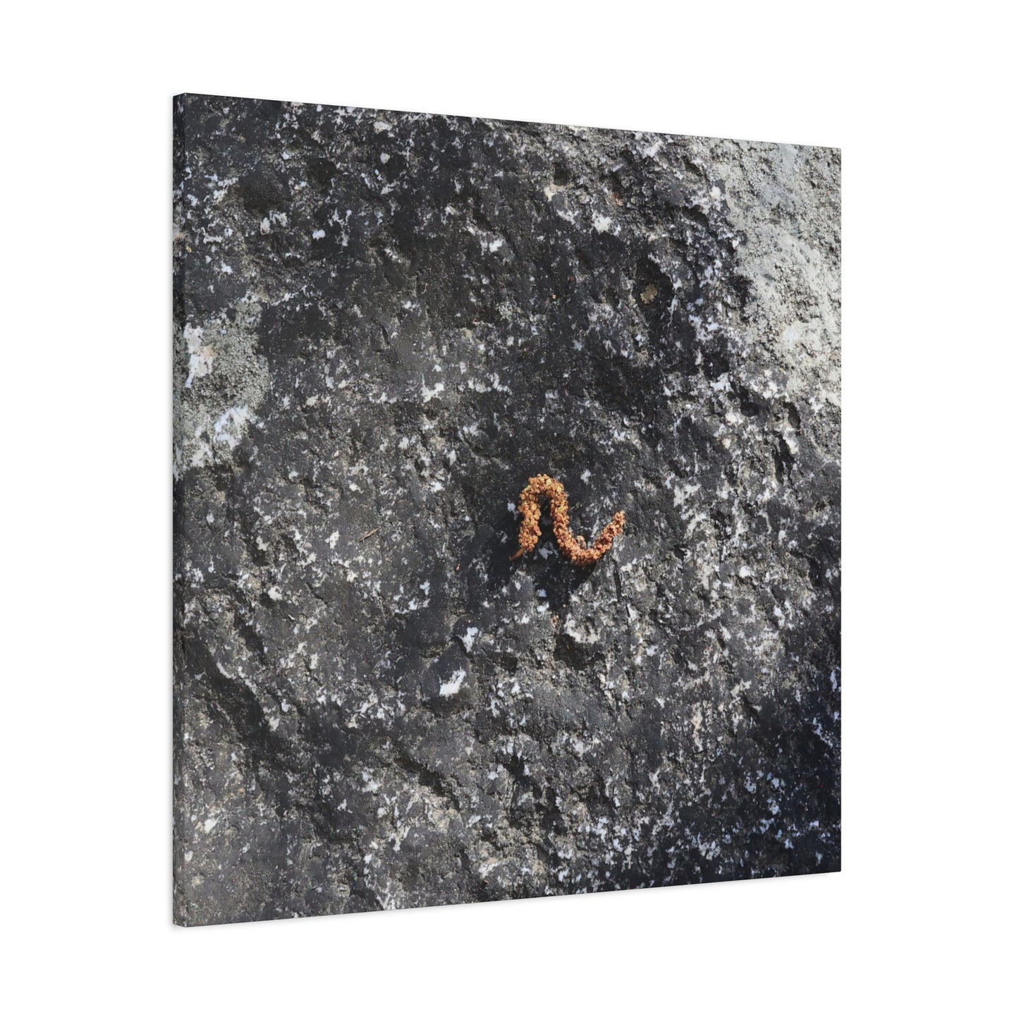 Earthen Serpent - Unique Frameless Canvas Wall Art
