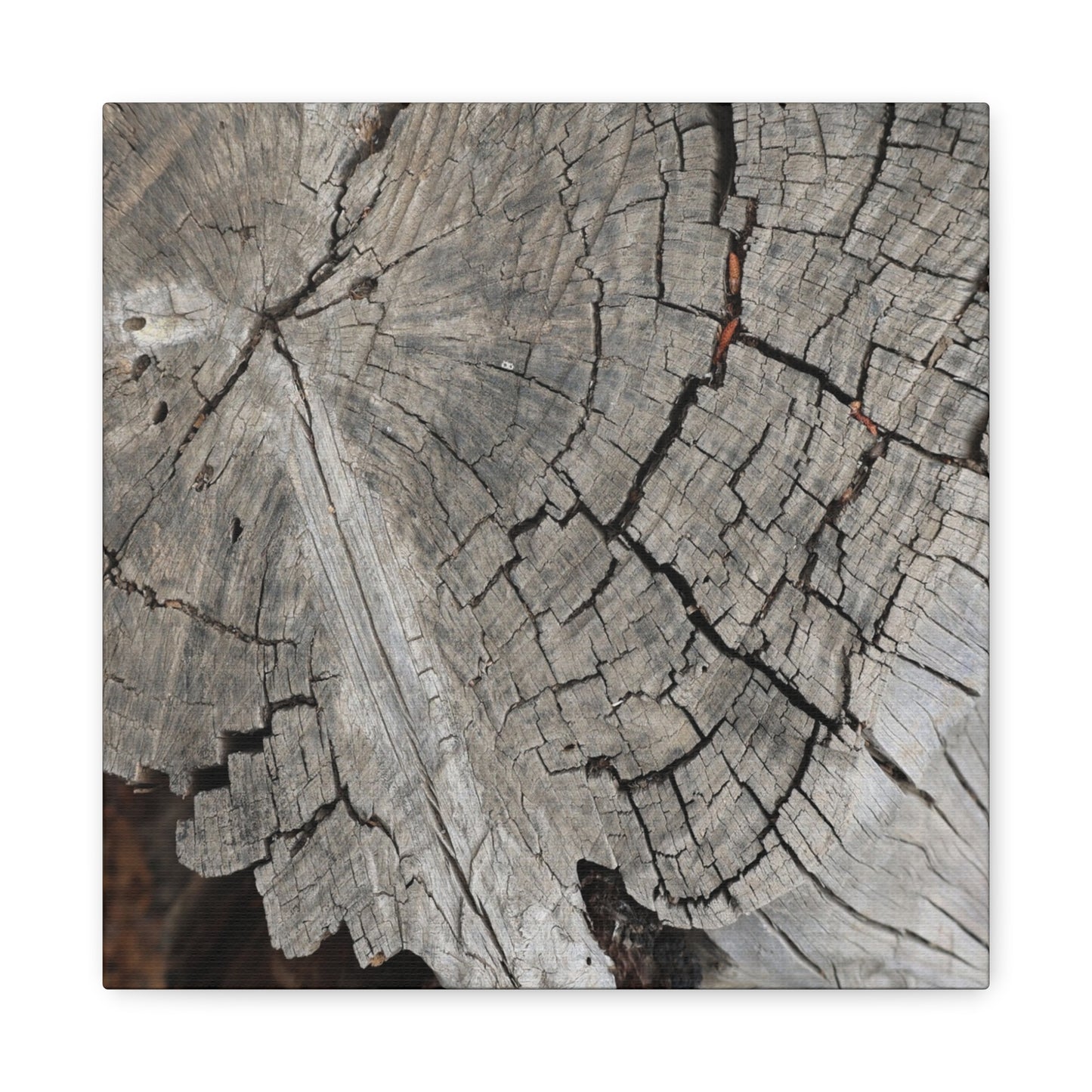 Cracked Memories - Unique Frameless Canvas Wall Art