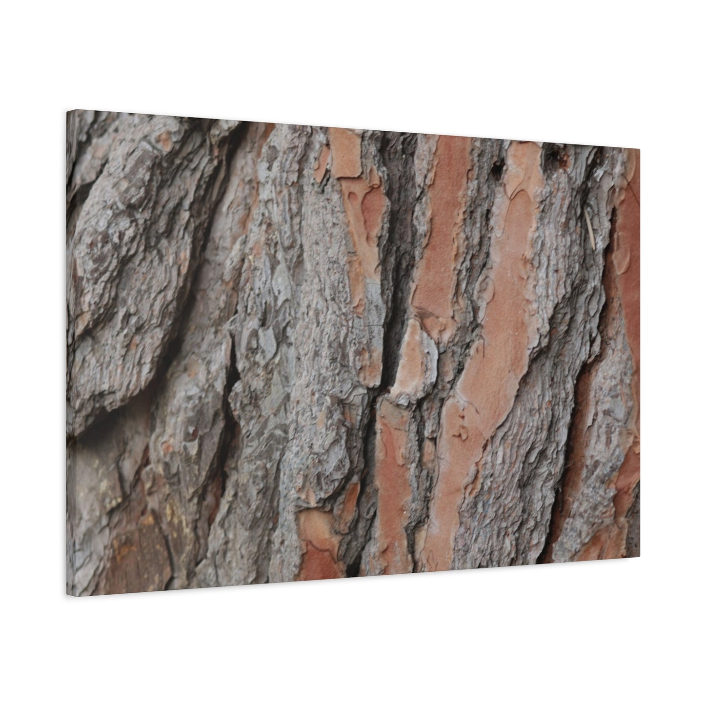Fractal Landscape - Unique Frameless Canvas Wall Art