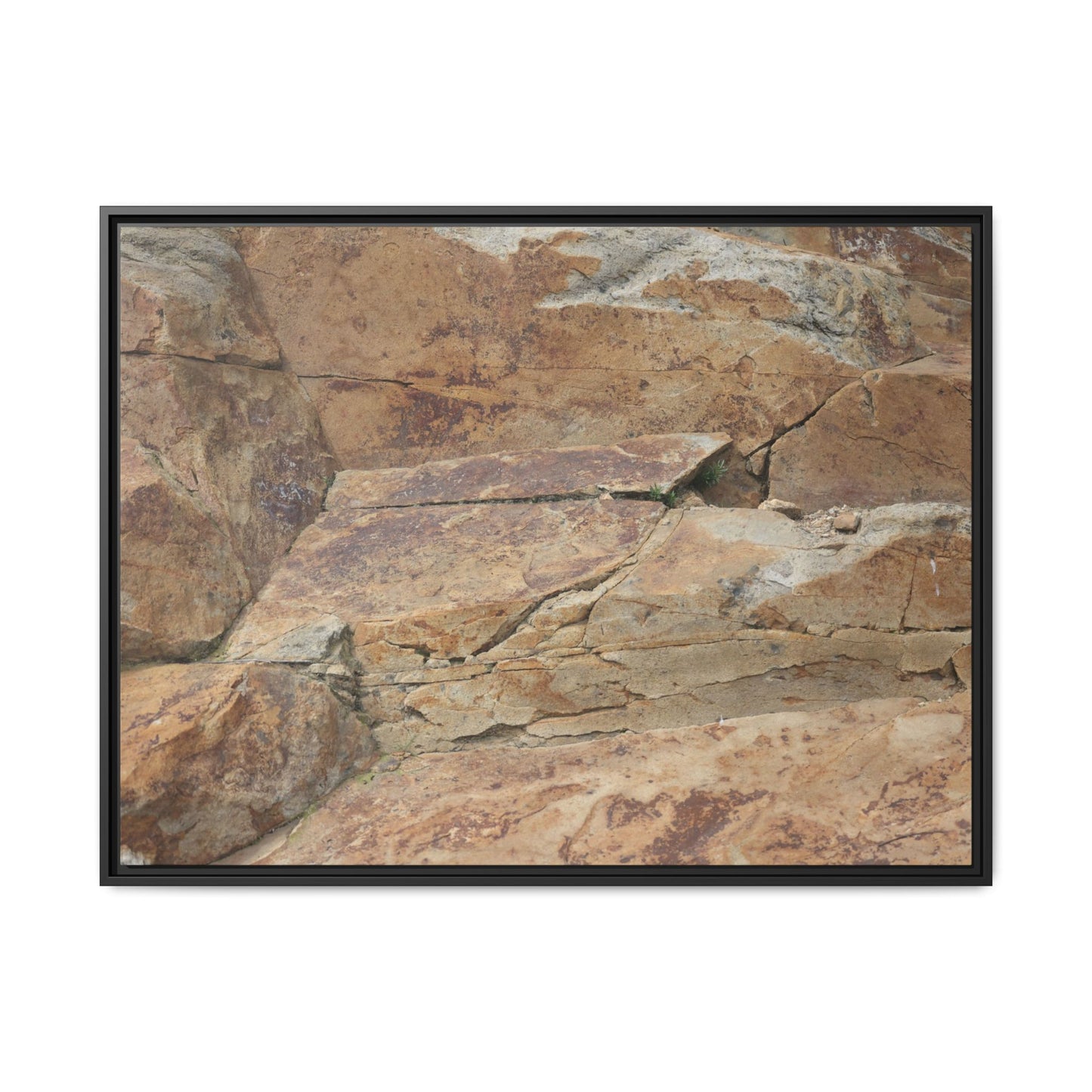 Ancient Foundations - Unique Stretched Canvas Wall Art